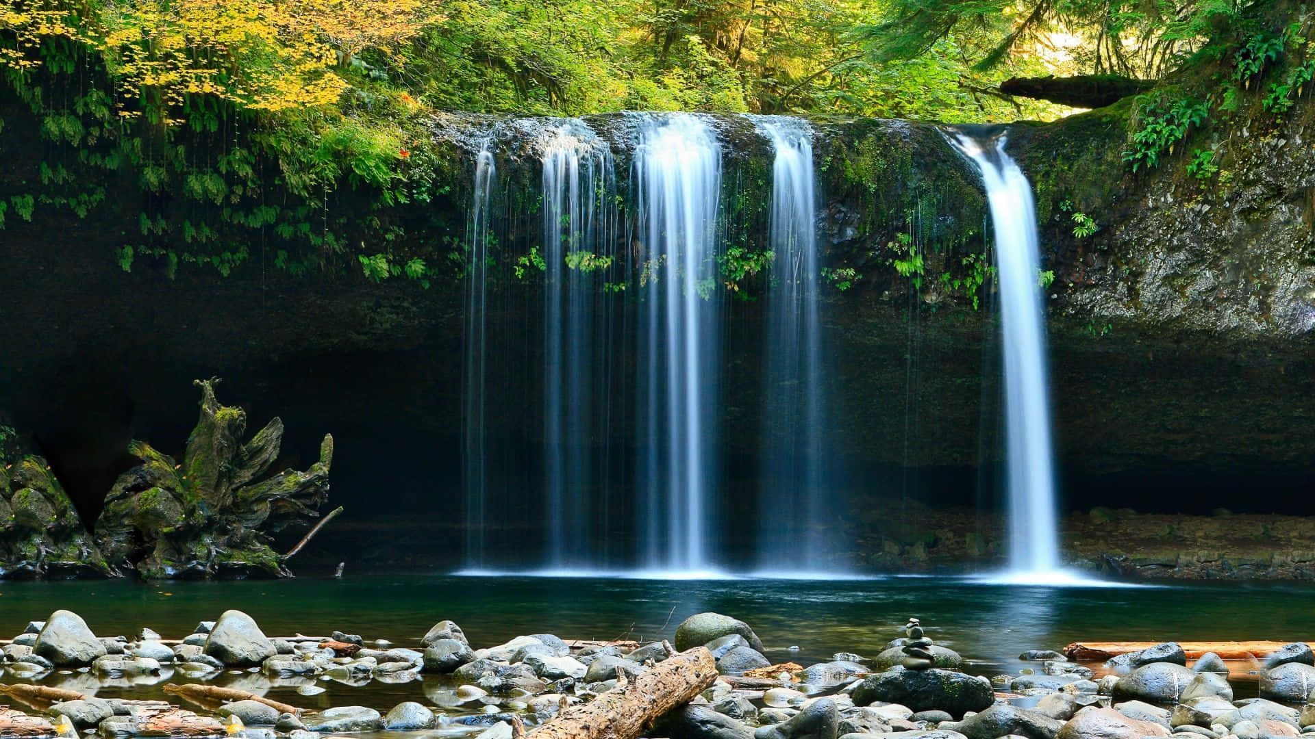 Waterfalls 桌布 壁紙 — 一道寧靜的瀑布穿過茂密的森林，周圍是充滿活力的綠色和黃色樹葉，環繞著一個岩石池。