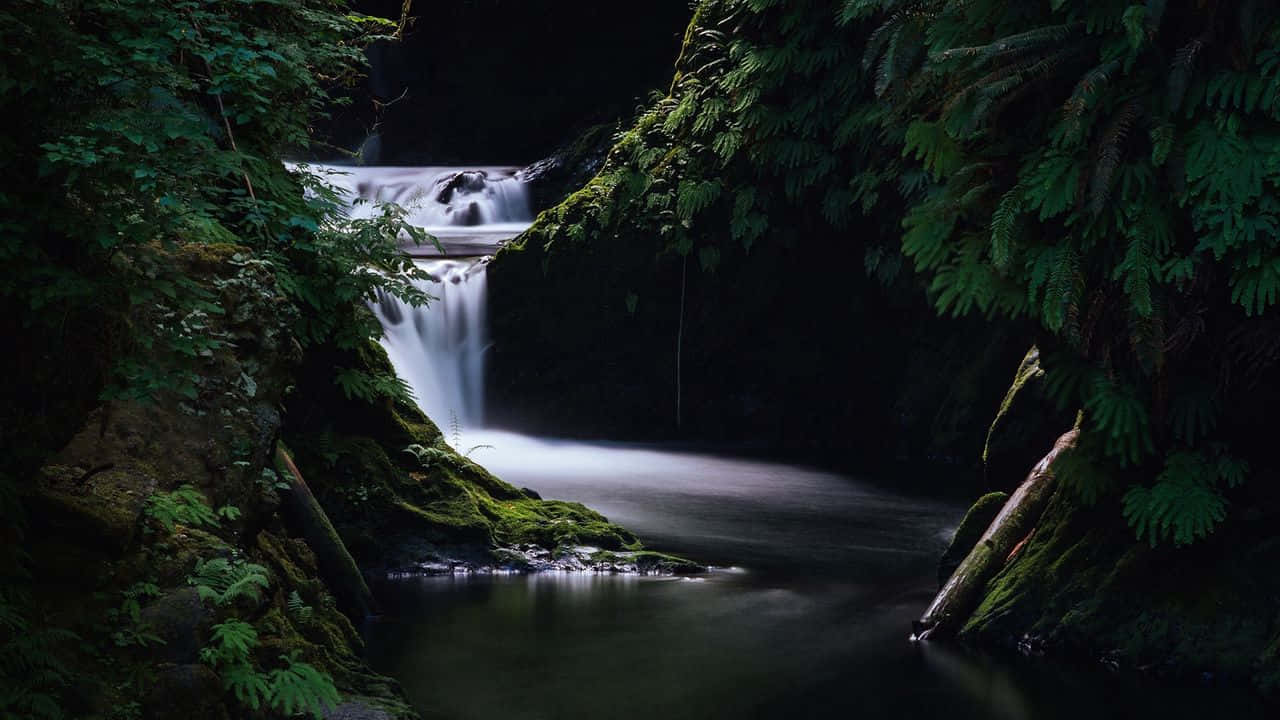 720p Nature 桌布 壁紙 — 一道寧靜的瀑布穿過茂密長滿苔蘚的森林峽谷，水流順暢，綠蕨茂密。