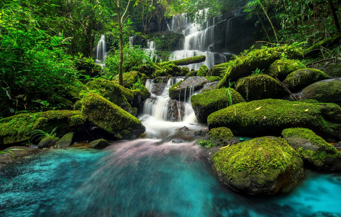 Beautiful Forest 桌布 壁紙 — 一道寧靜的熱帶瀑布從長滿苔蘚的岩石上傾瀉而下，流入被茂密綠色叢林環繞的碧綠水池。