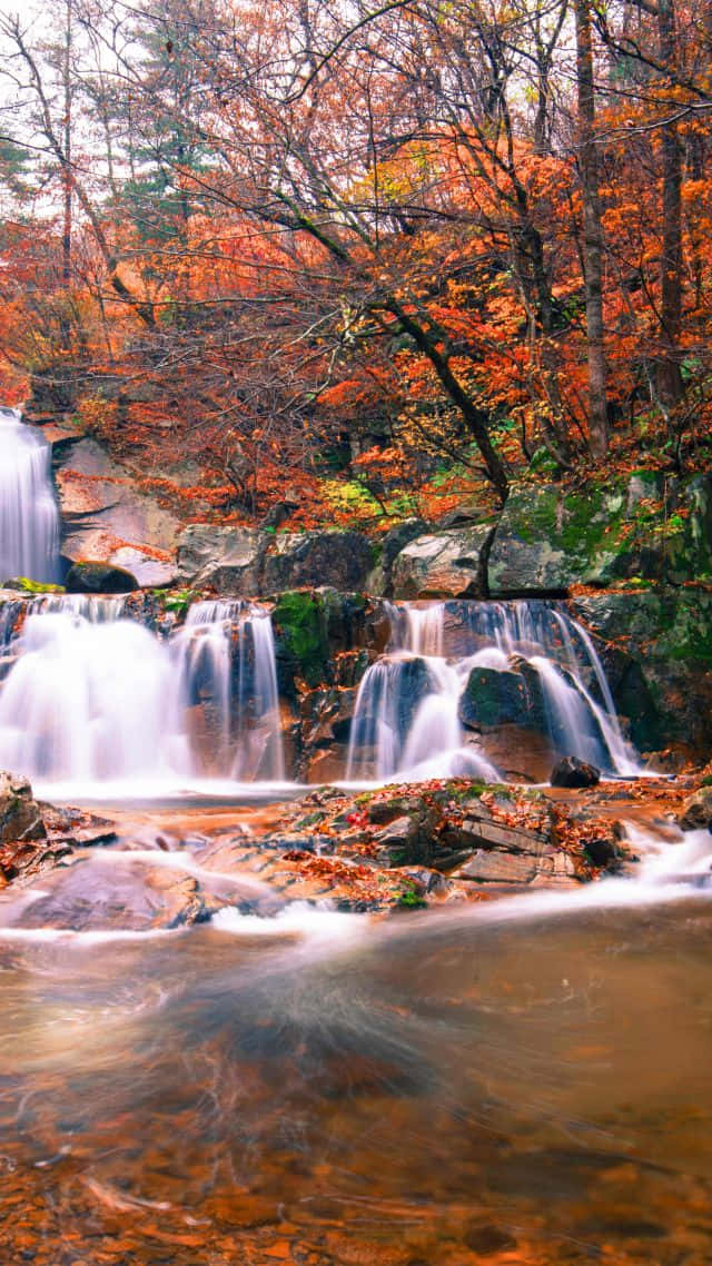 Nature Vertical 桌布 壁紙 — 一道寧靜的秋日瀑布流過長滿苔蘚的岩石，四周環繞著火紅的橙色和紅色樹葉。