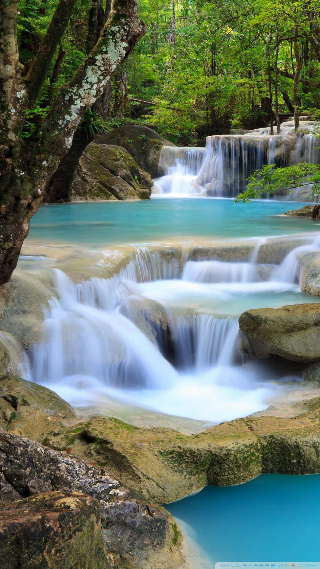 Nature Vertical 桌布 壁紙 — 一道寧靜的綠松石瀑布流過長滿苔蘚的岩石，穿過茂密的綠色森林，伴隨著輕柔的薄霧和斑駁的陽光。