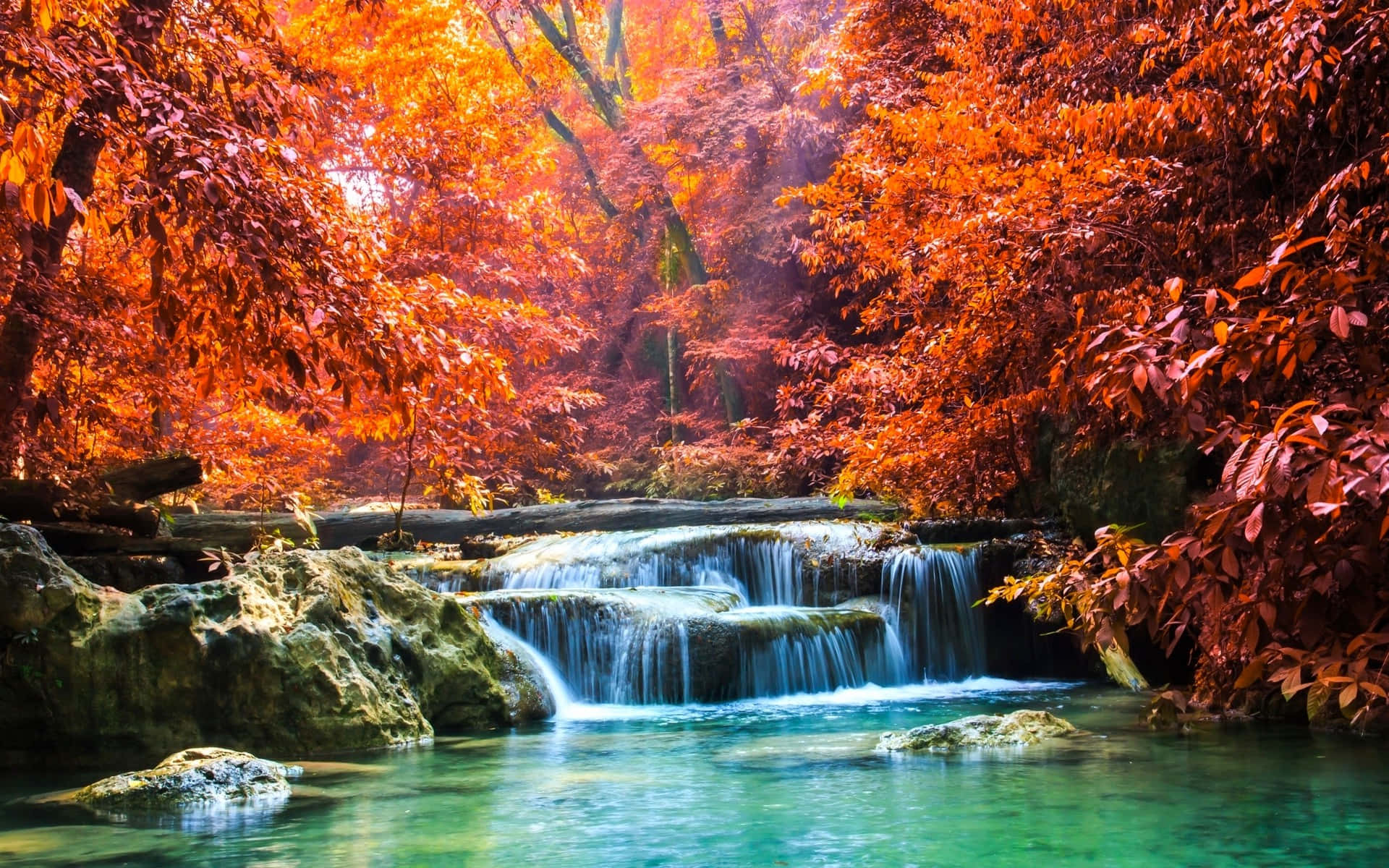 瀑布 桌布 壁紙 — 一道層疊瀑布流過一片被火紅橙紅秋葉點燃的森林。