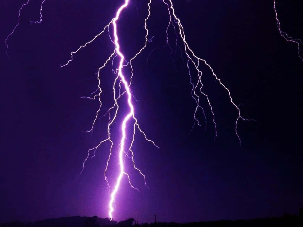 Purple Lightning 桌布 壁紙 — 一道巨大的紫色閃電在漆黑的夜空中分叉，劃過剪影般的地平線。