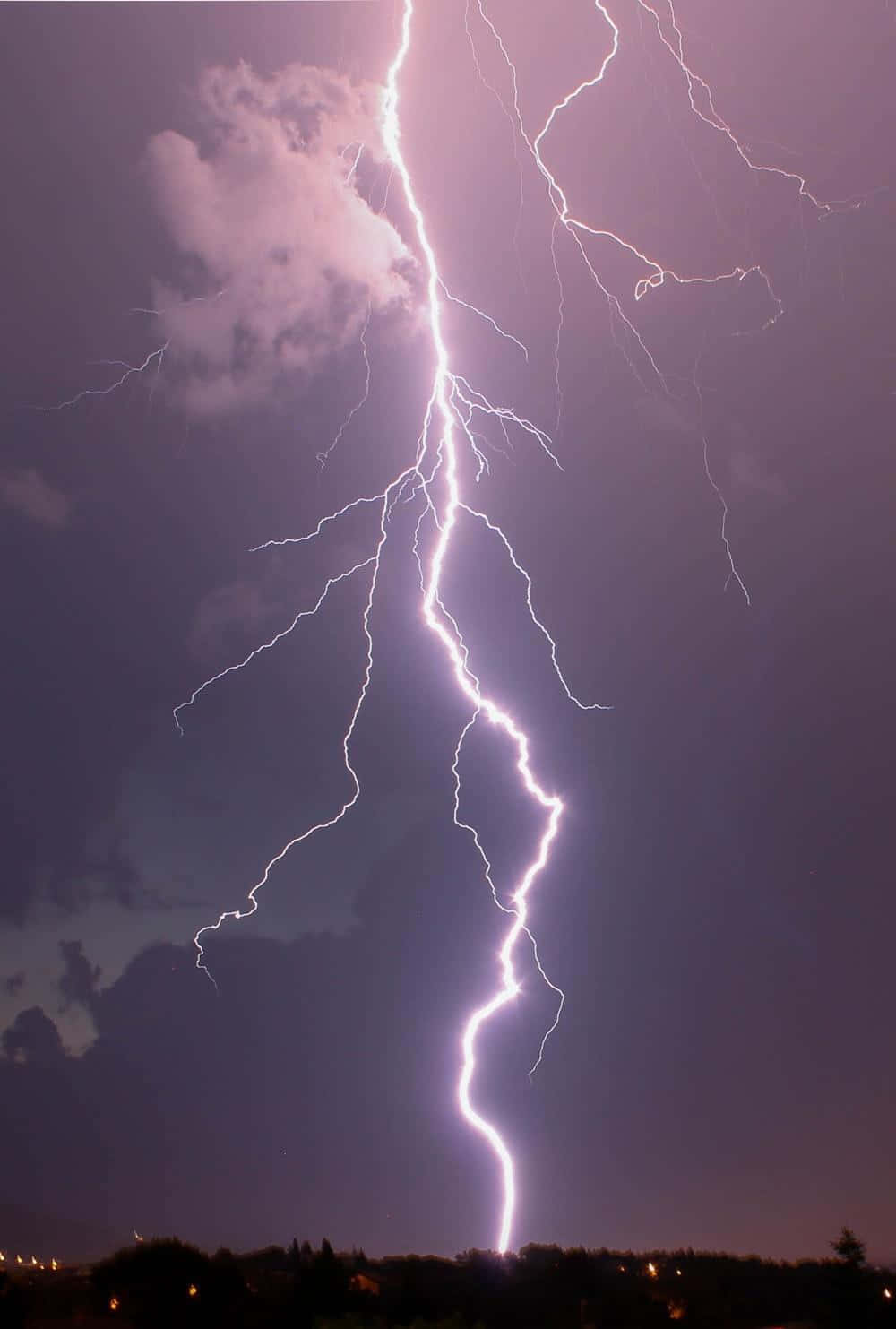 閃電 桌布 壁紙 — 一道巨大的閃電在夜間劃過深紫色暴風雨的天空，在樹木的剪影上方分叉。