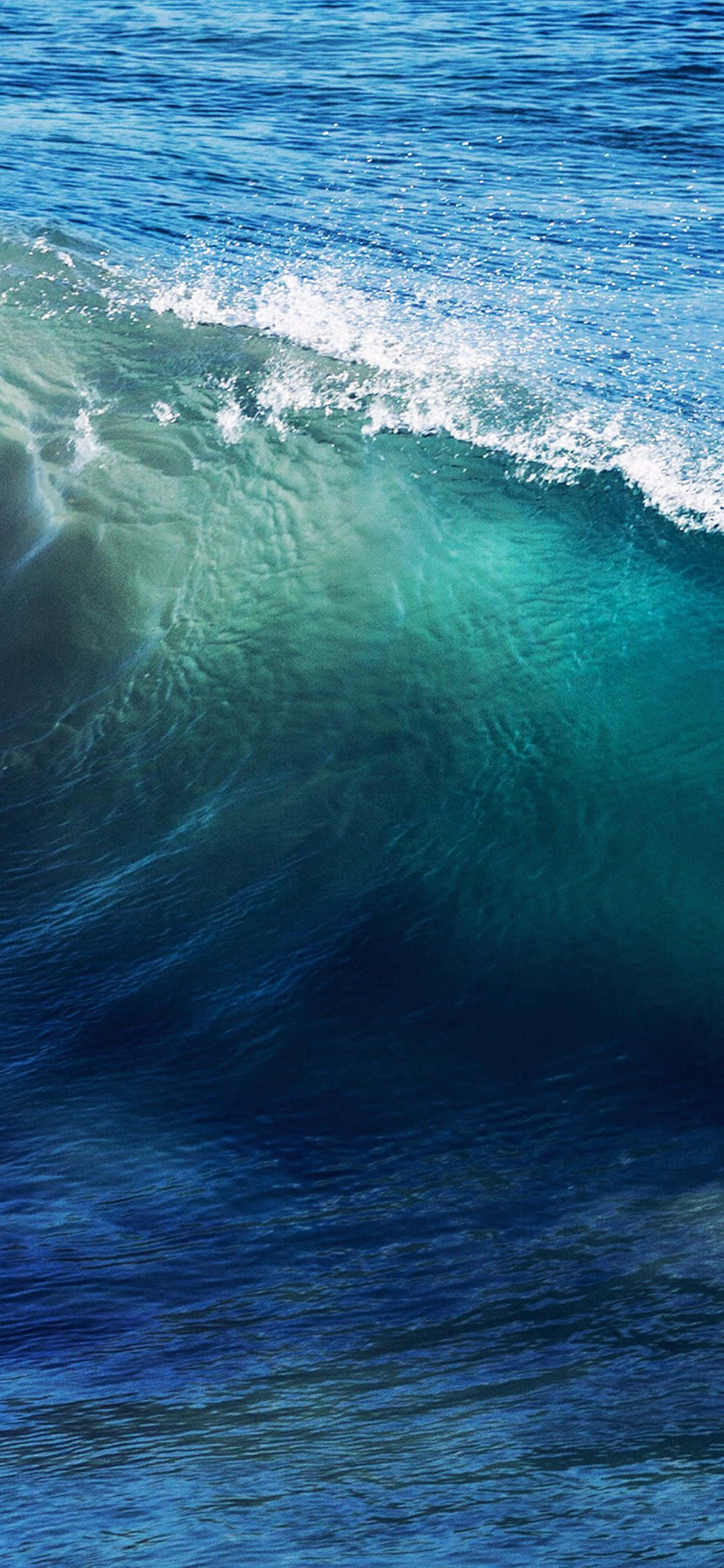 Wave 桌布 壁紙 — 一道強勁的海浪捲成半透明的藍綠色筒狀，白色泡沫在深藍色海水上翻騰。