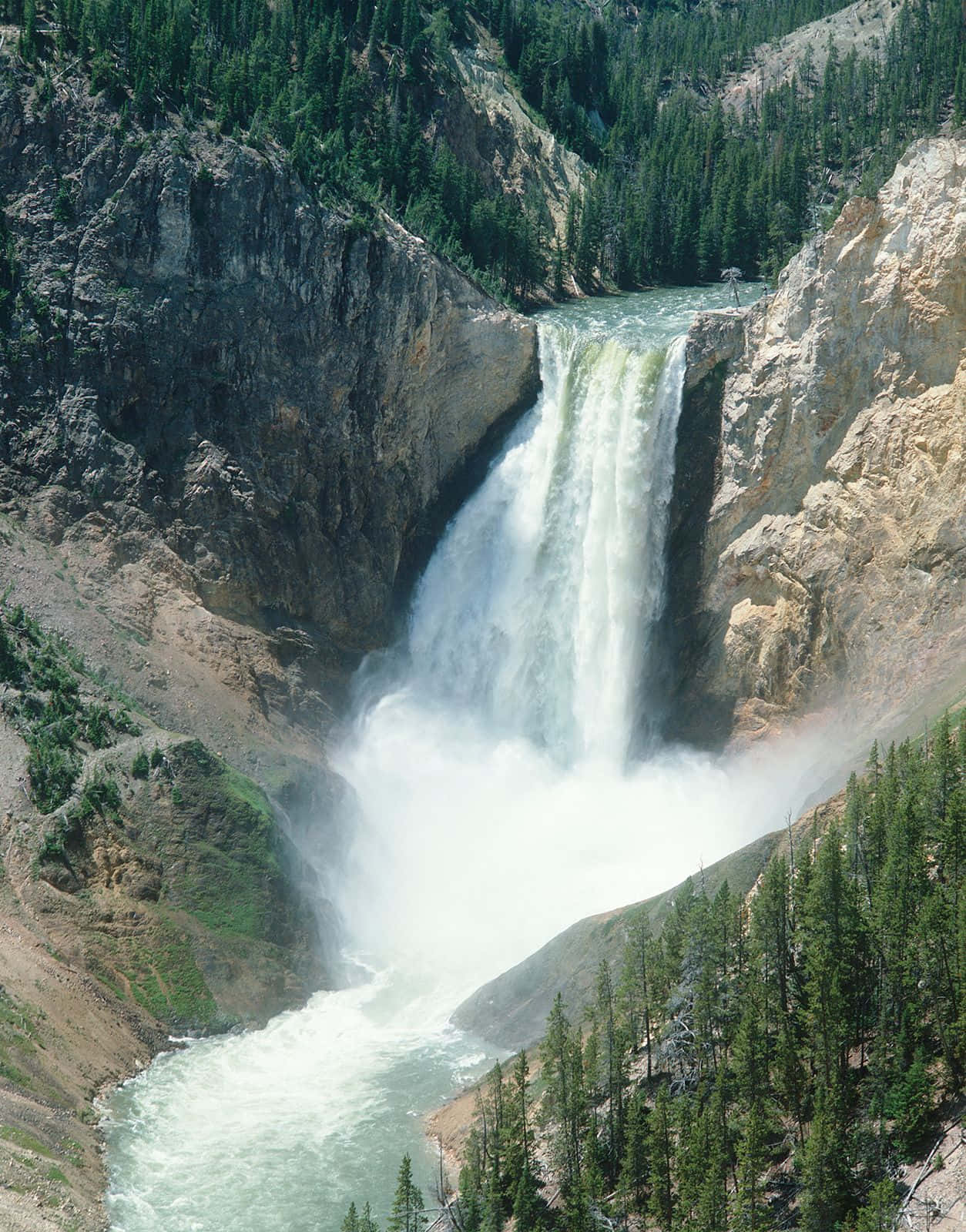 Yellowstone 桌布 壁紙 — 一道強勁的瀑布從崎嶇的懸崖傾瀉而下，流入被茂密常綠森林環繞的霧氣瀰漫的河流。