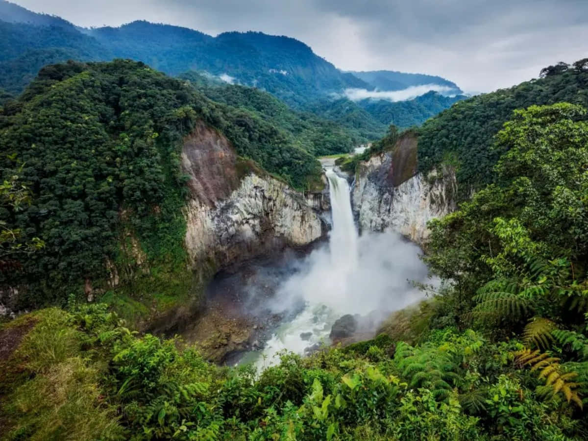 Rainforest 桌布 壁紙 — 一道強勁的瀑布衝入霧氣瀰漫的水潭，四周環繞著茂密的綠色叢林和聳立的森林覆蓋山脈，天空多雲。
