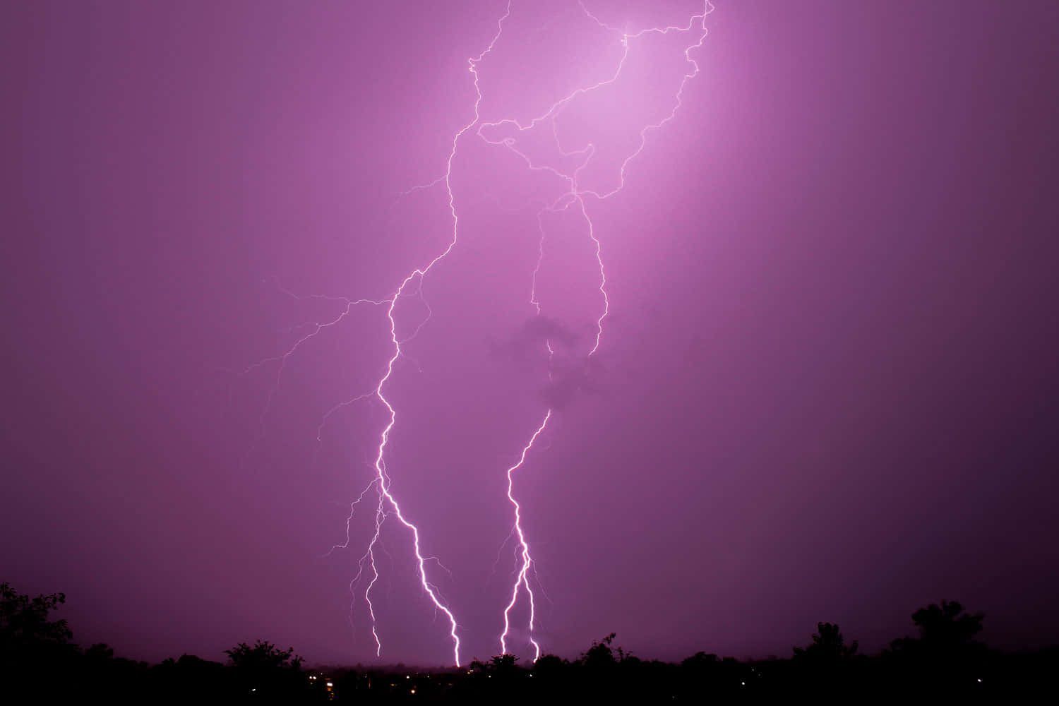 閃電 桌布 壁紙 — 一道強勁的紫色閃電在暴風雨的夜空中分叉，劃過黑暗的樹線。