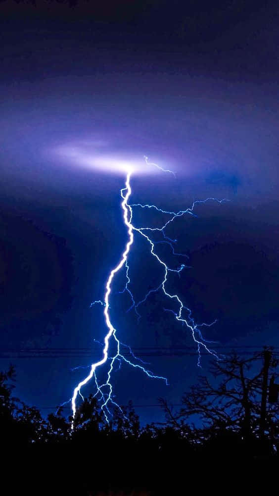 閃電 桌布 壁紙 — 一道強勁的藍白色閃電在黑暗的暴風雨天空中分叉，掠過樹木和電線的剪影。
