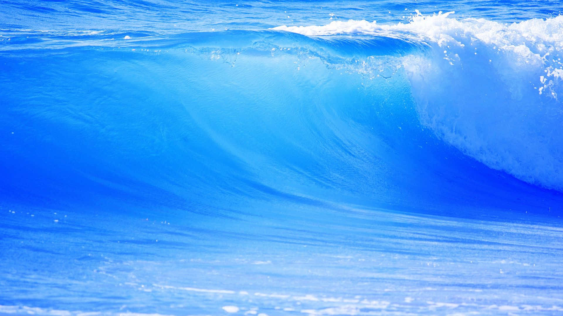 Wave 桌布 壁紙 — 一道強勁的藍綠色海浪向前翻捲，頂端泛著白色泡沫，在明亮的陽光下閃耀。