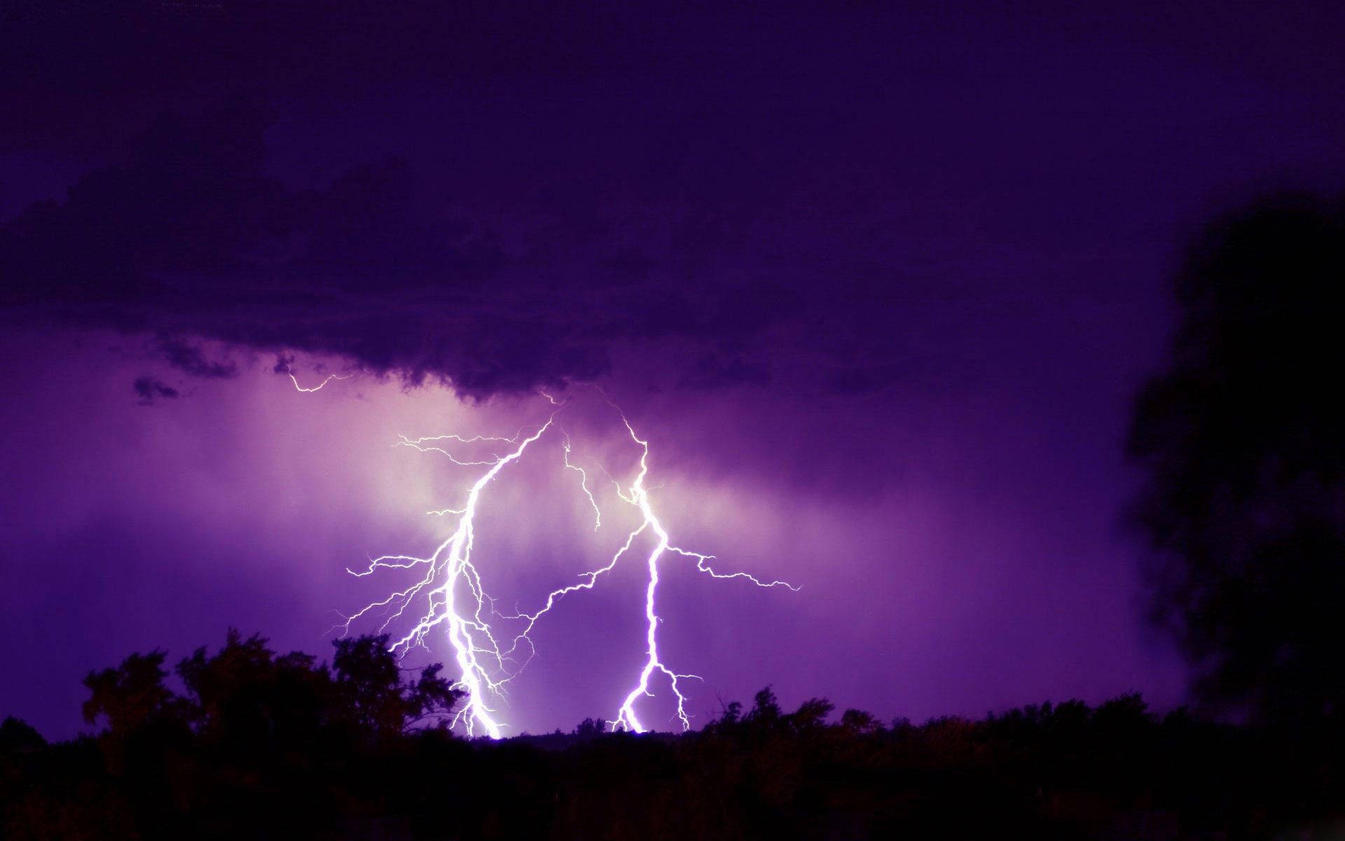 Aesthetic Lightning 桌布 壁紙 — 一道強勁的閃電在深紫色暴風雨天空中分叉，下方是黑暗的樹線。