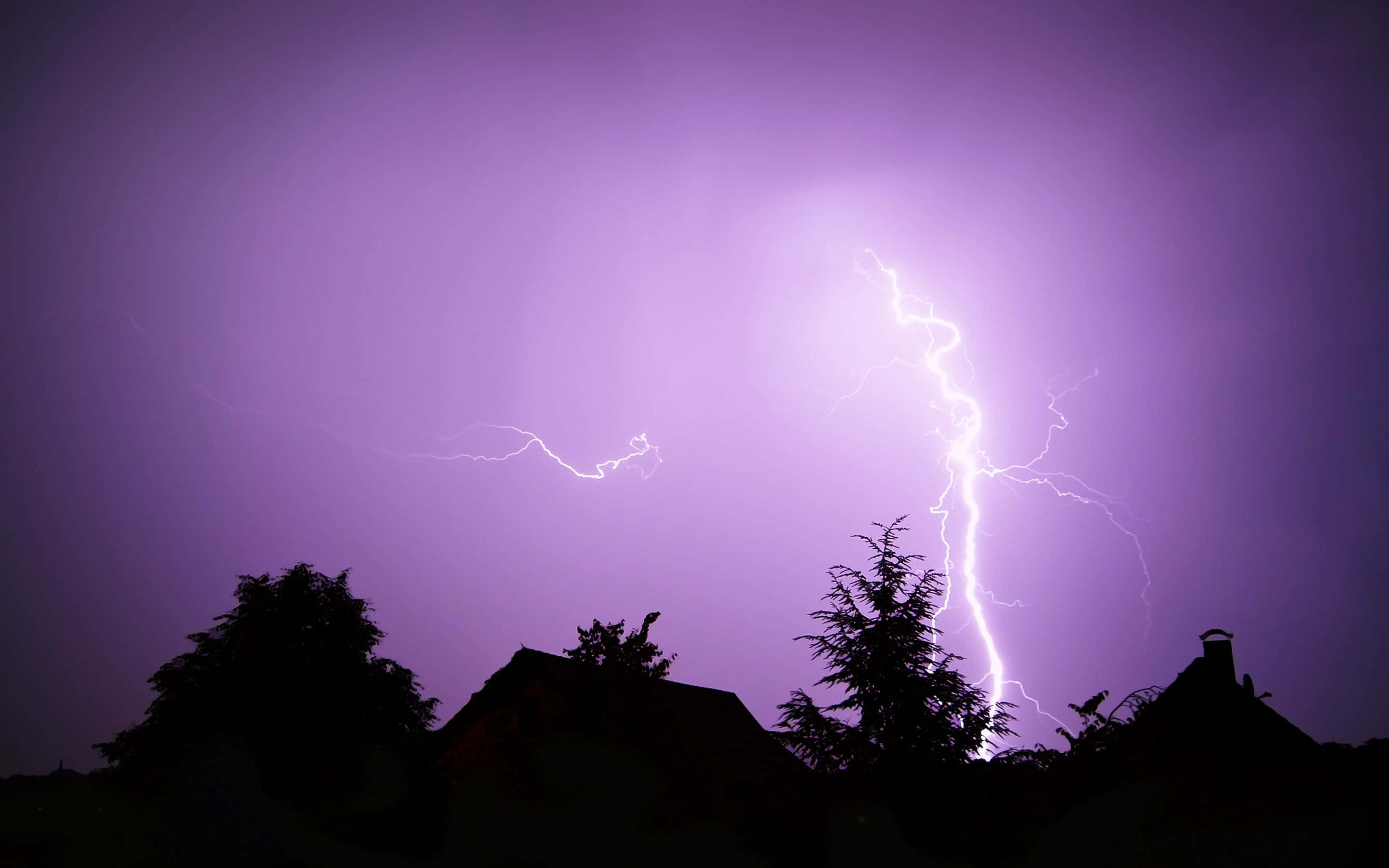 Purple Lightning 桌布 壁紙 — 一道強勁的閃電在生動的紫色暴風雨天空中分叉，下方是黑暗輪廓的屋頂和樹木。