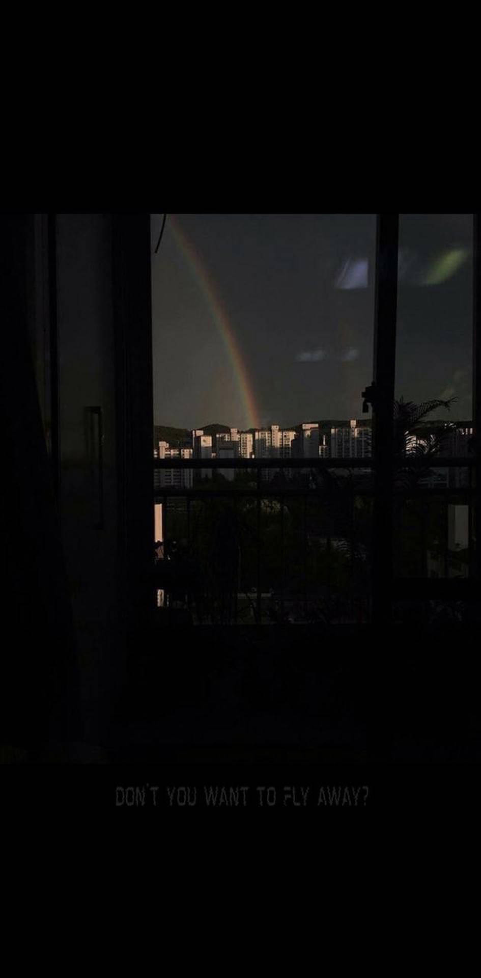 夜晚城市上空的彩虹，透過暗窗看到發光的建築。 — 黑暗城市 壁紙