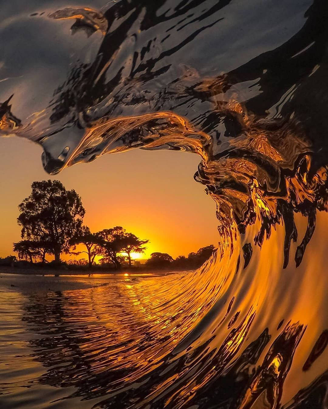 Wave 桌布 壁紙 — 一道戲劇性的波浪在日落時彎曲，反射著火橙色和深藍色的天空，襯托出樹木的剪影。
