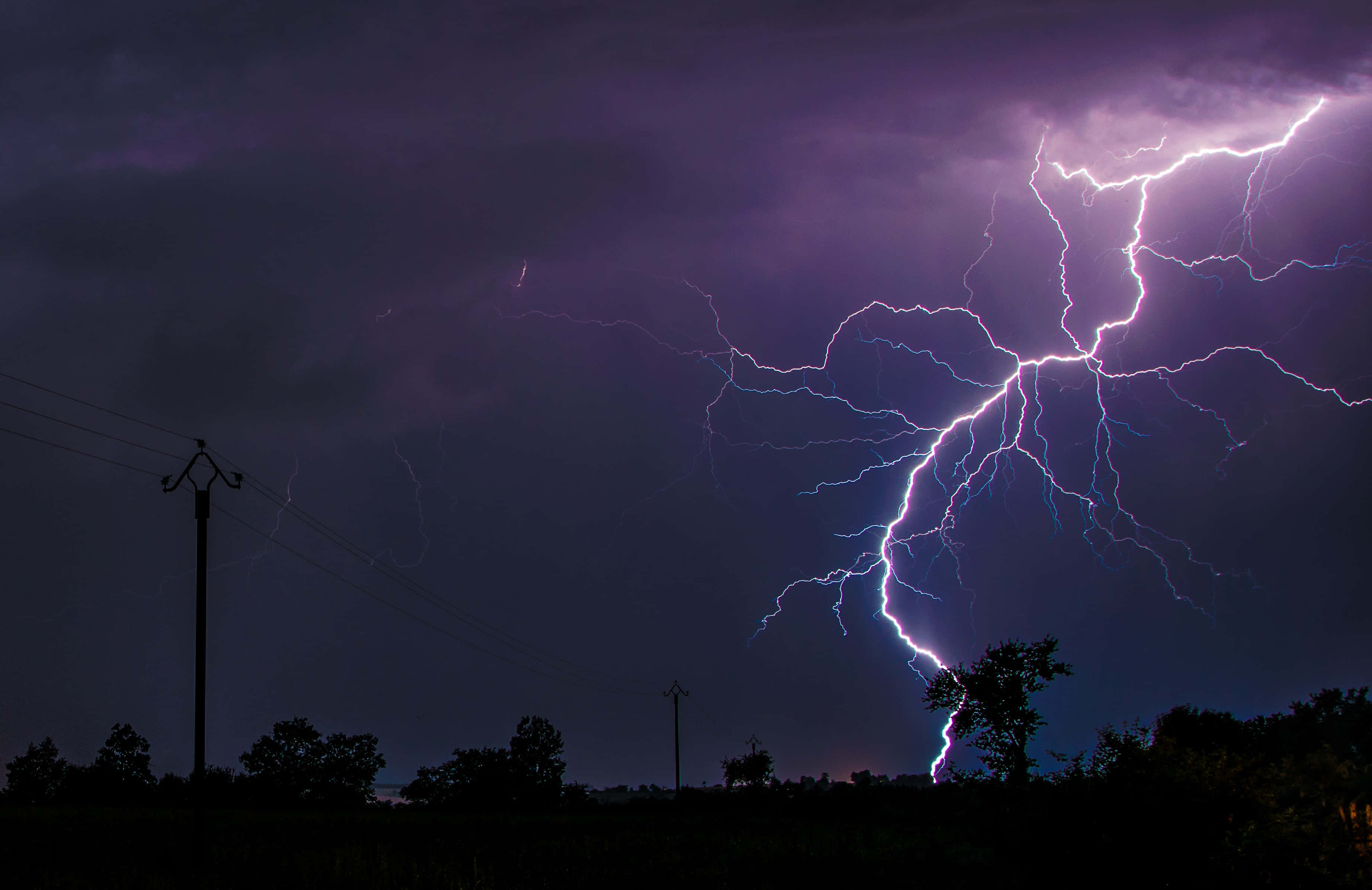 Lightning Bolt 桌布 壁紙 — 一道戲劇性的紫色閃電在暴風雨的夜空中分叉，映襯著剪影般的樹木和電線。
