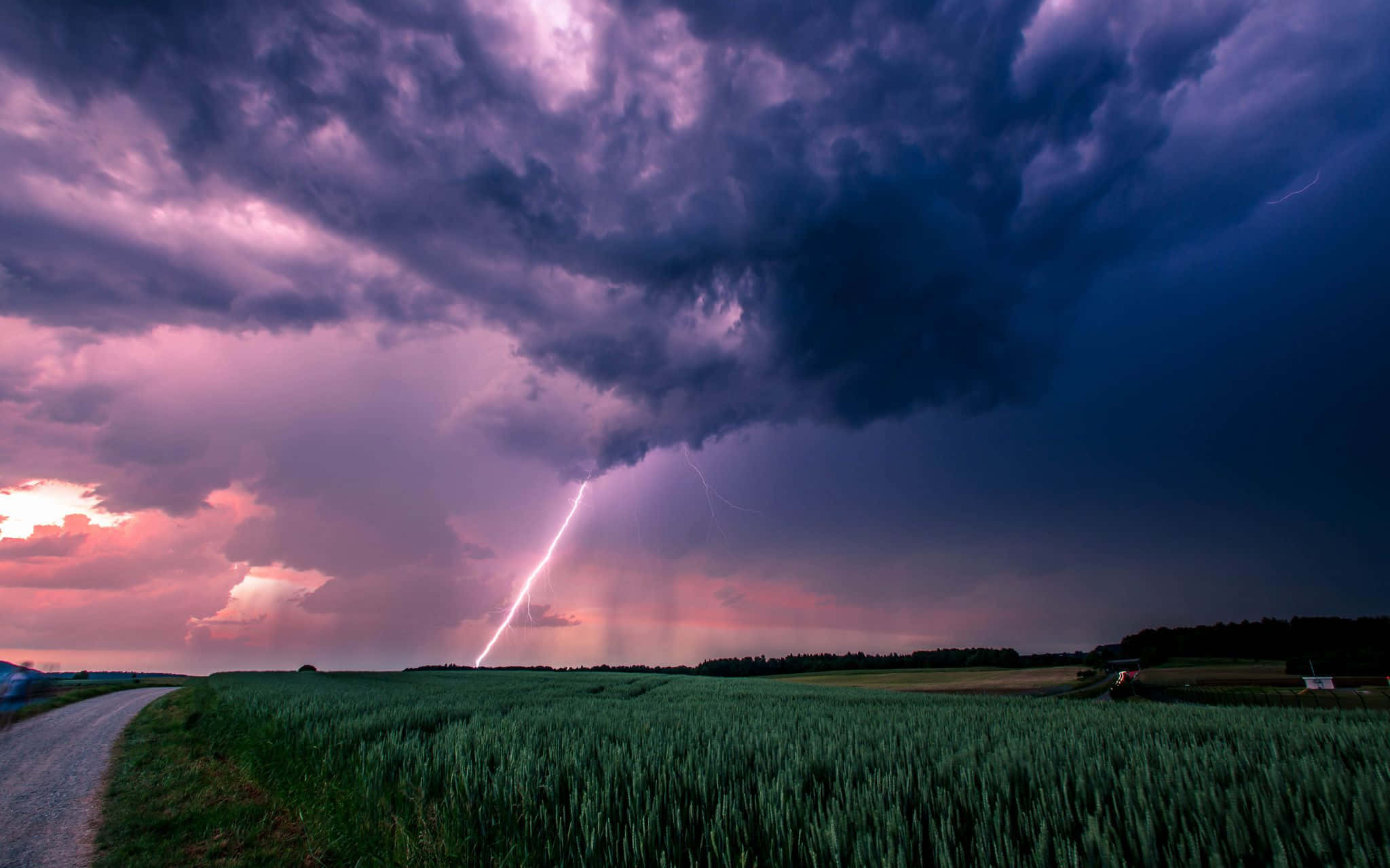 Thunderstorm 桌布 壁紙 — 一道戲劇性的閃電劃過廣闊的綠色田野，紫色和粉紅色的暴風雲籠罩在上空。