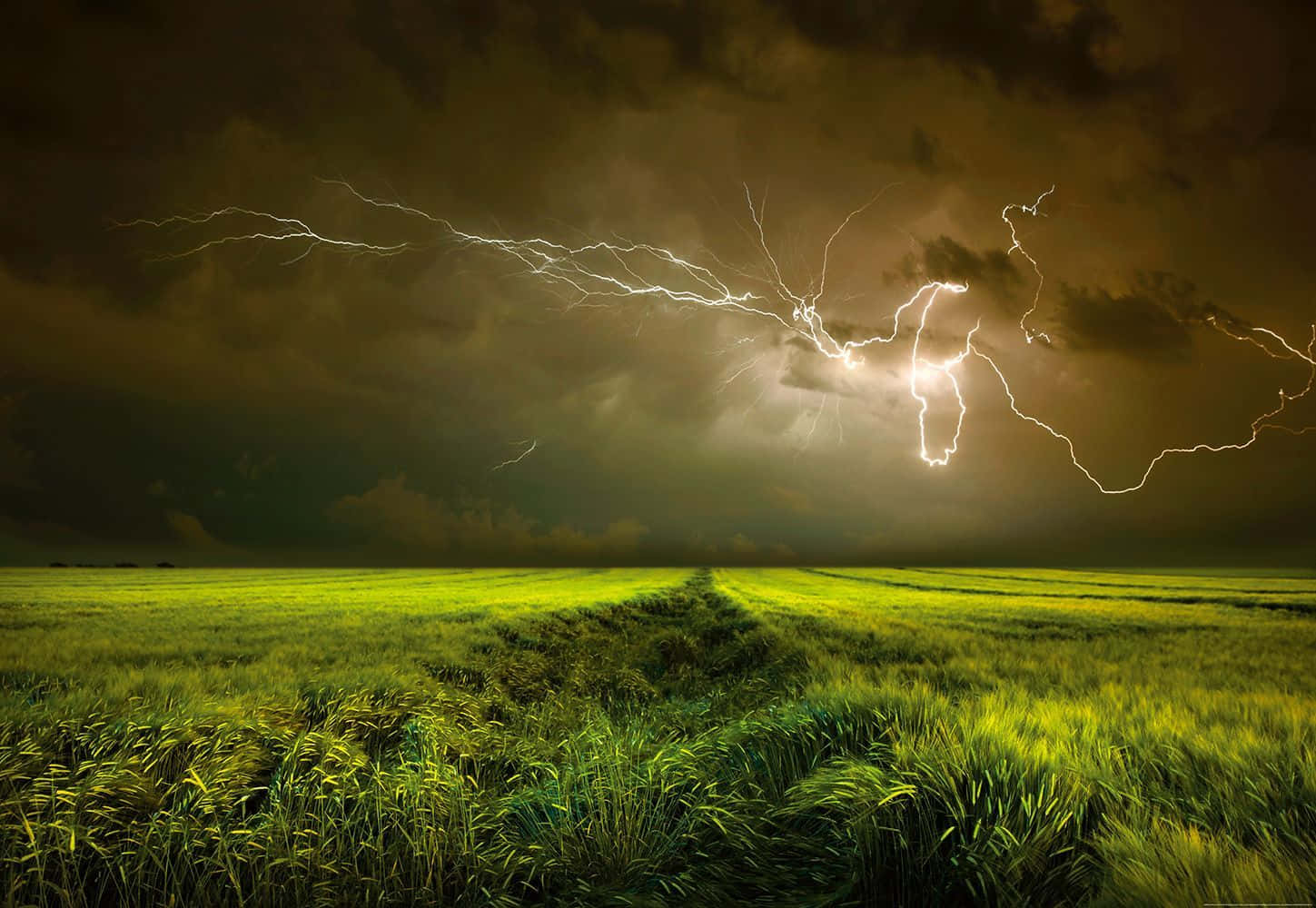 thunder 桌布 壁紙 — 一道戲劇性的閃電在夜間廣闊的綠色田野上方的暴風雨天空中分叉。