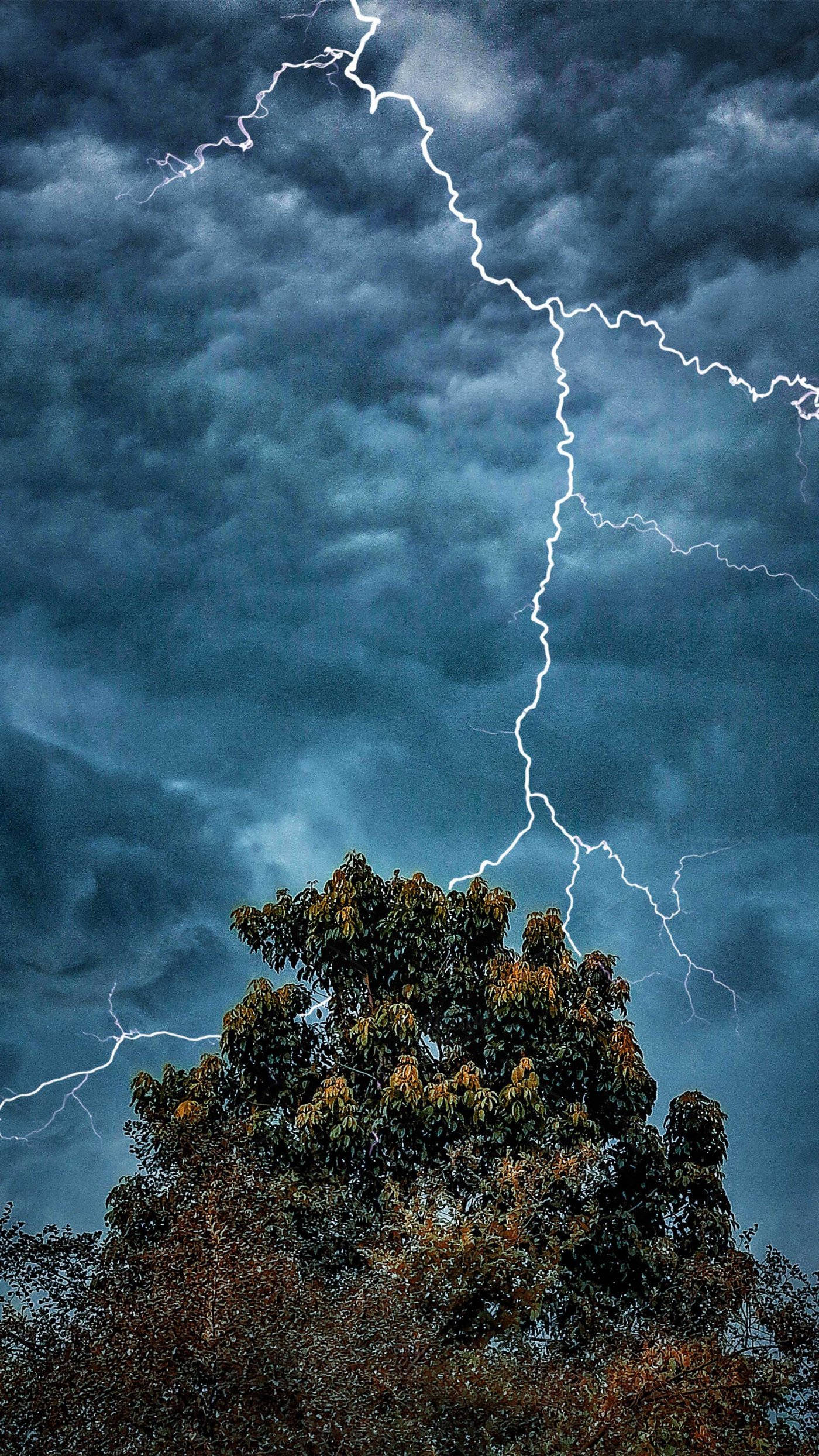 Thunderstorm 桌布 壁紙 — 一道戲劇性的閃電在孤樹的樹梢上方，穿過暴風雨的藍色天空分叉而下。