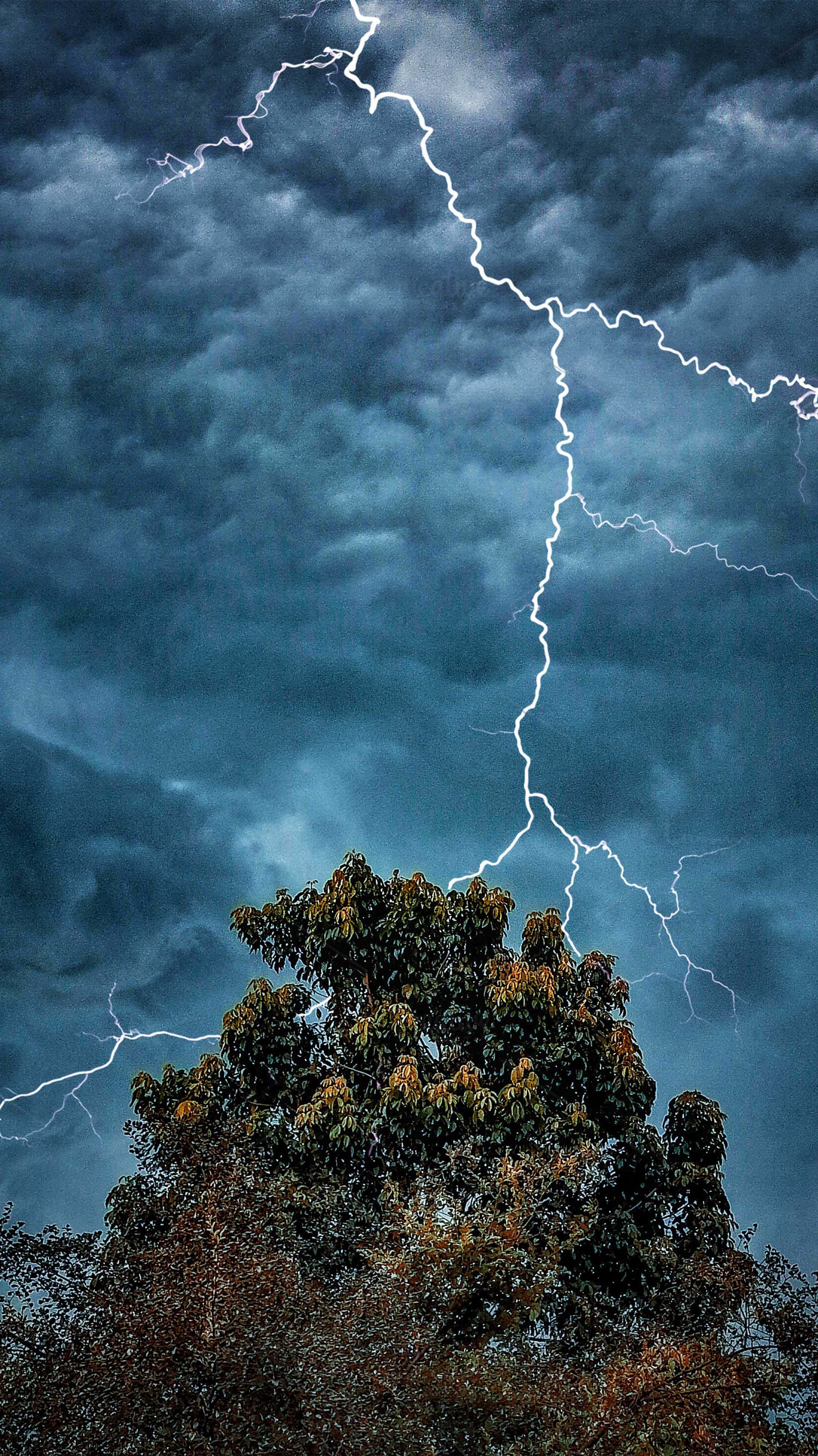 Thunderstorm 桌布 壁紙 — 一道戲劇性的閃電在暴風雨的藍色天空中分叉，下方是茂密的秋葉樹。