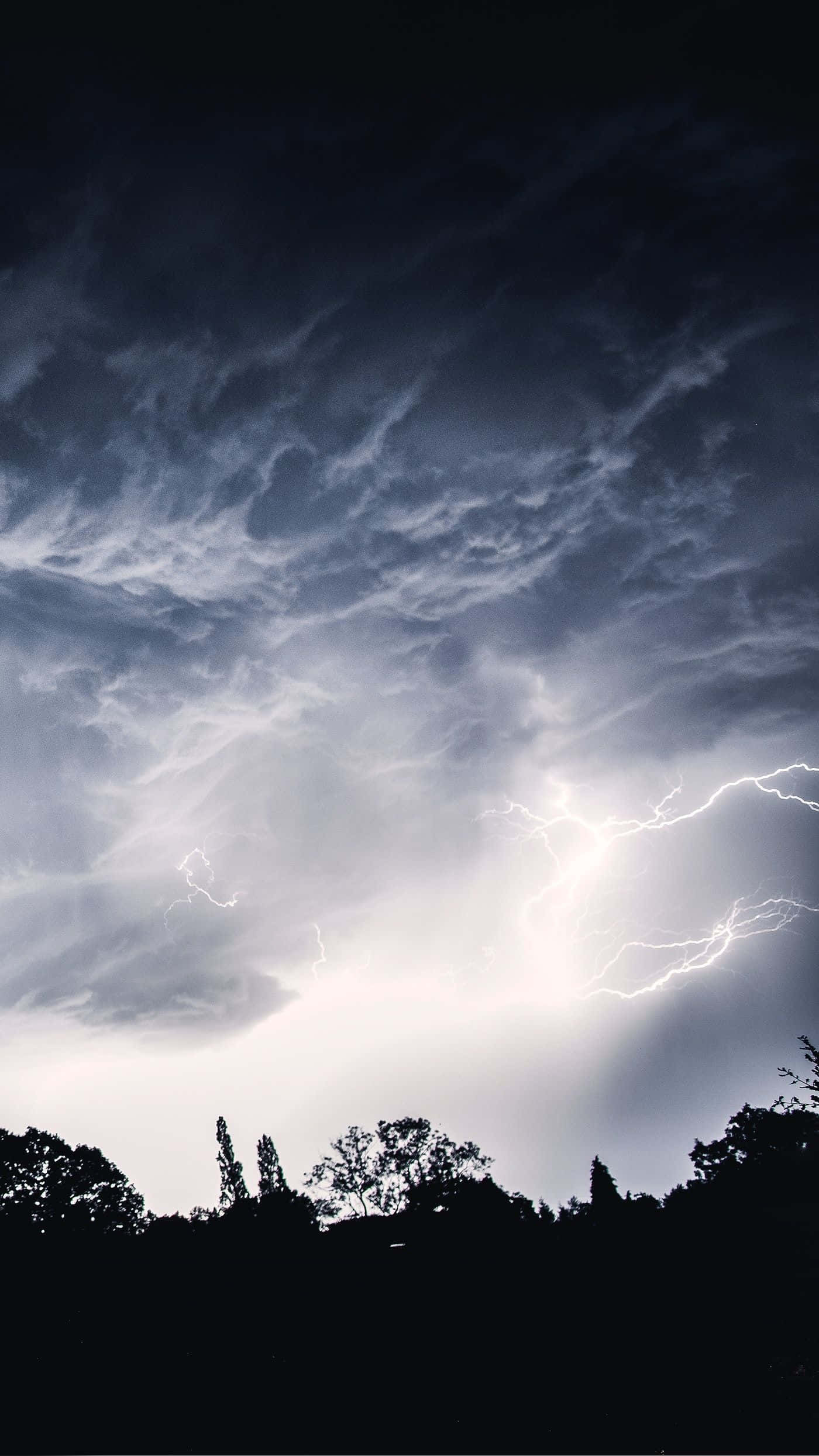 Stormy 桌布 壁紙 — 一道戲劇性的閃電照亮了夜晚黑暗樹線上方暴風雨的天空。