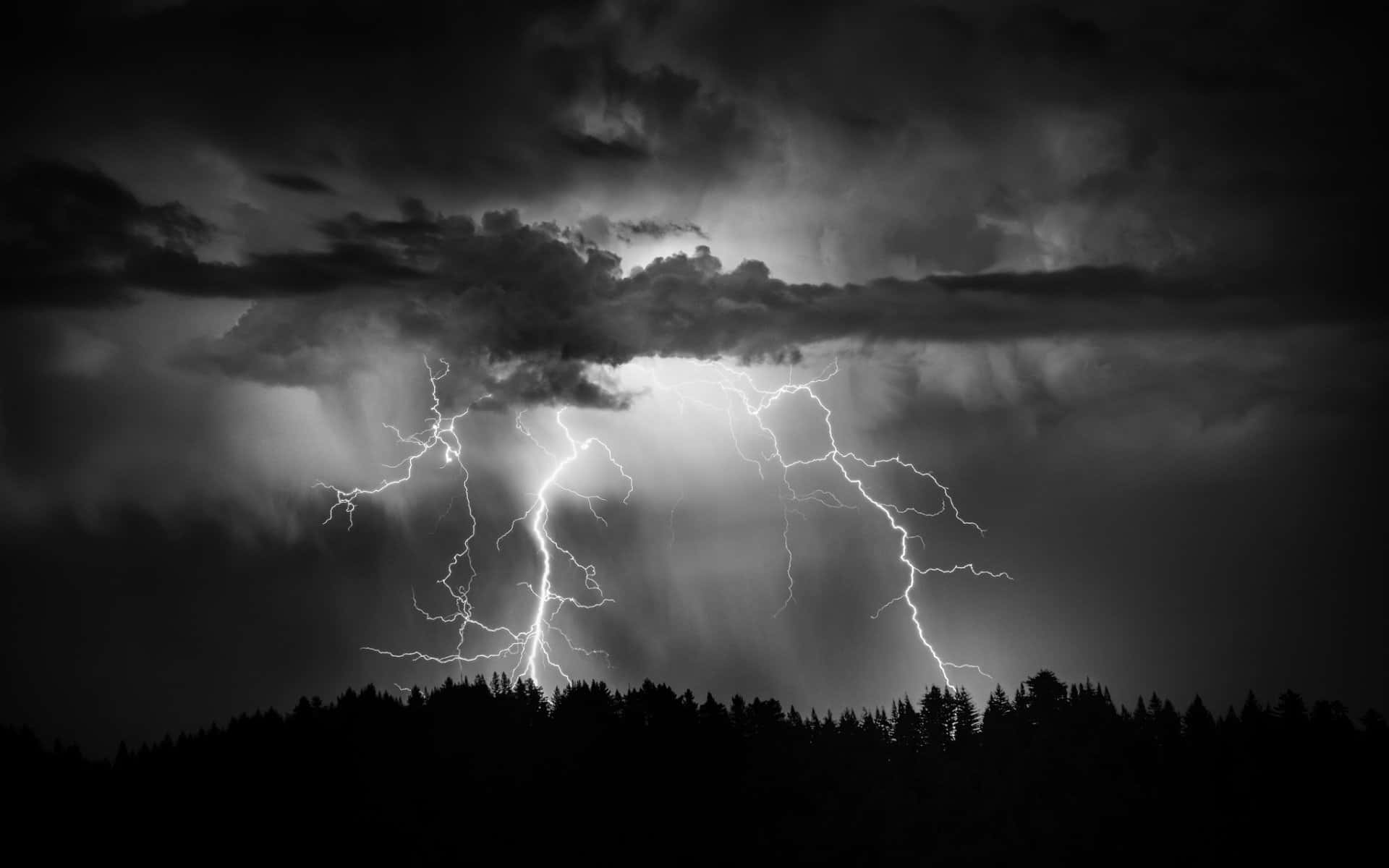 閃電 桌布 壁紙 — 一道戲劇性的黑白閃電照亮了剪影森林樹線上方的黑暗暴風雲。