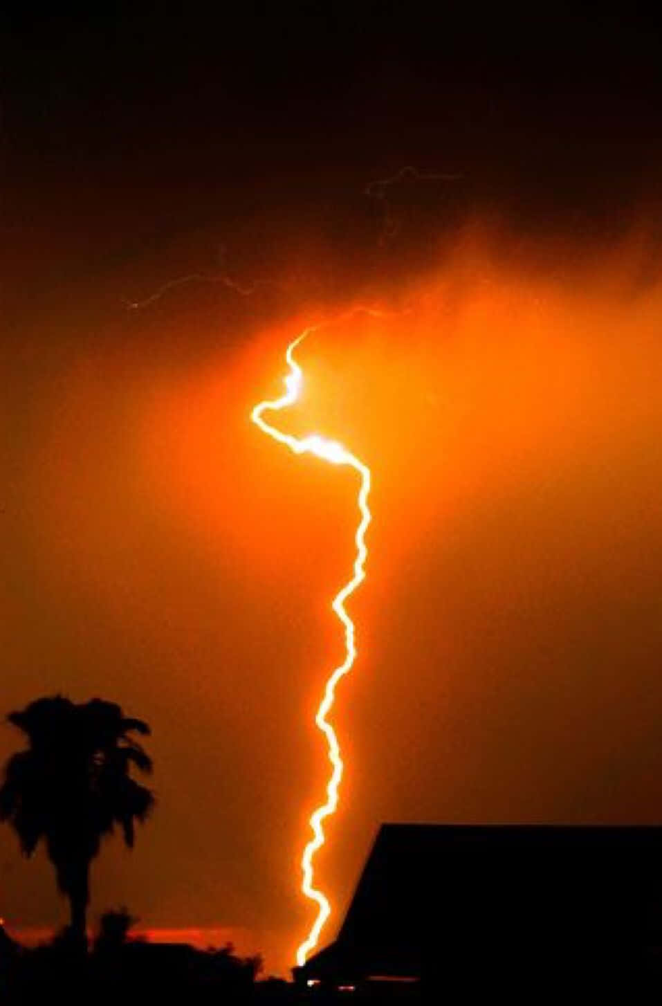 橘色美學 桌布 壁紙 — 一道明亮的橙色閃電垂直劃過暴風雨的夜空，下方是剪影般的棕櫚樹和屋頂。