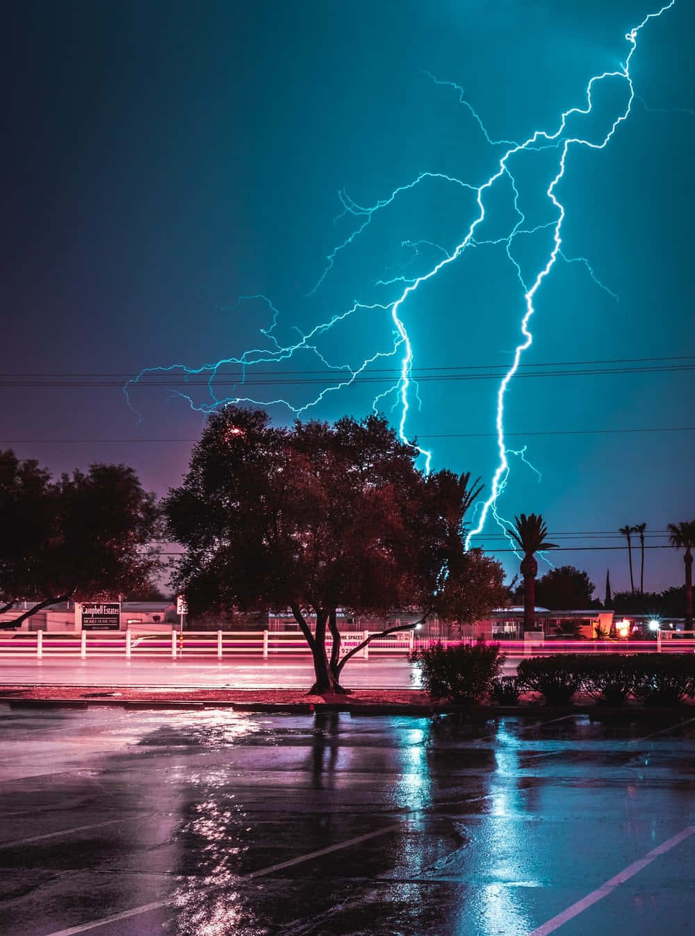 Thunderstorm 桌布 壁紙 — 一道明亮的藍色閃電劃過夜空，擊中濕漉漉的停車場，照亮了黑暗天空下的樹木和棕櫚葉。