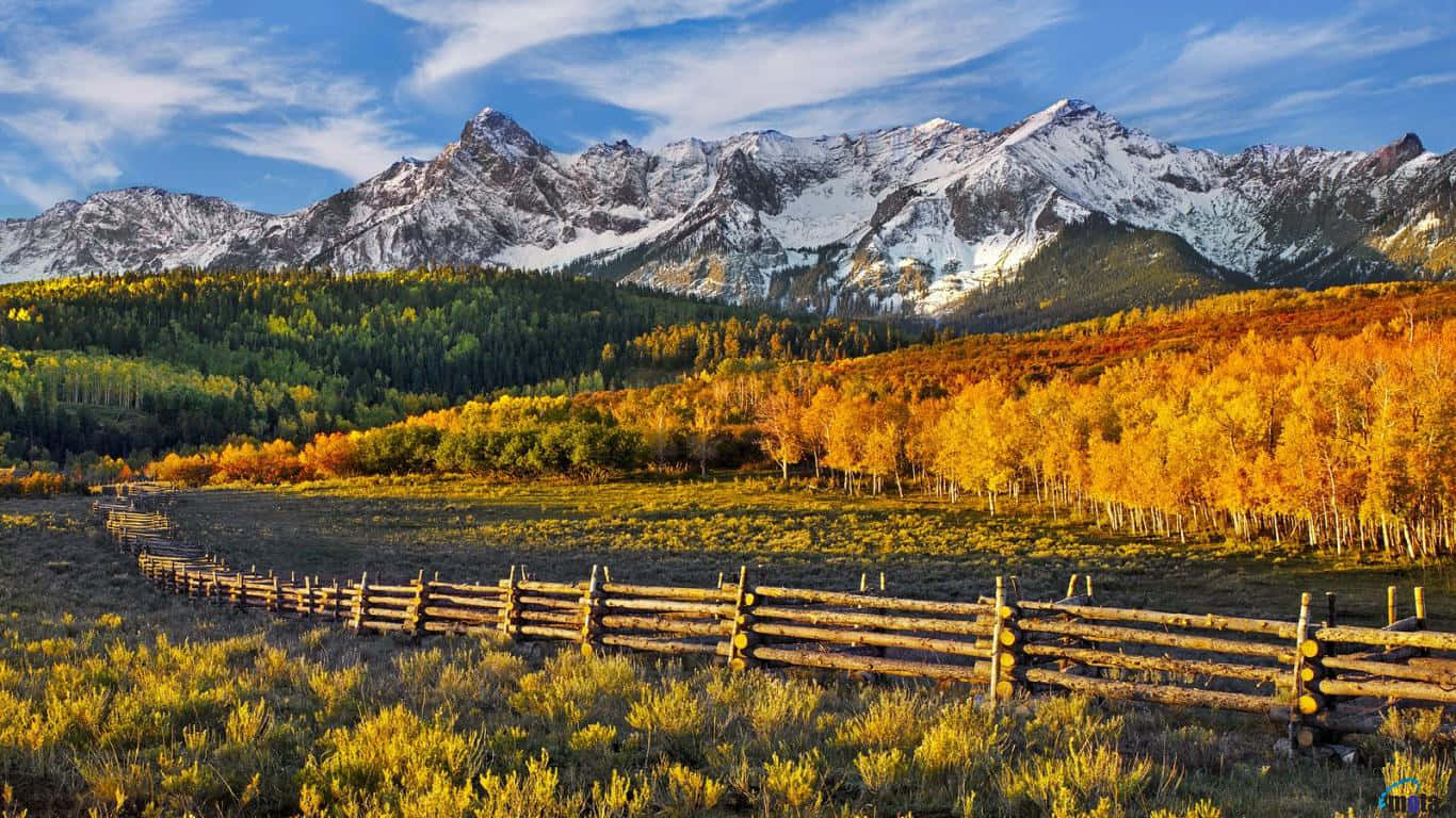山景 桌布 壁紙 — 一道木柵欄蜿蜒穿過金色的白楊樹林，下方是白雪覆蓋的山脈，上方是明亮的藍天和縷縷白雲。