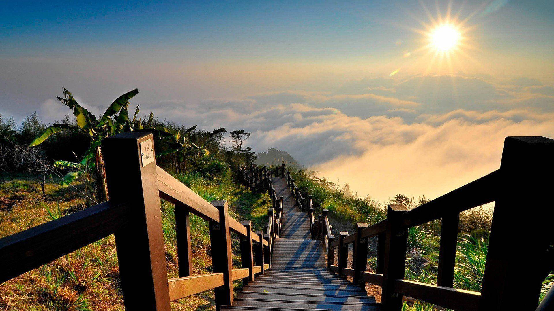 在熱帶山區環境中，日出時分木樓梯高聳於雲海之上