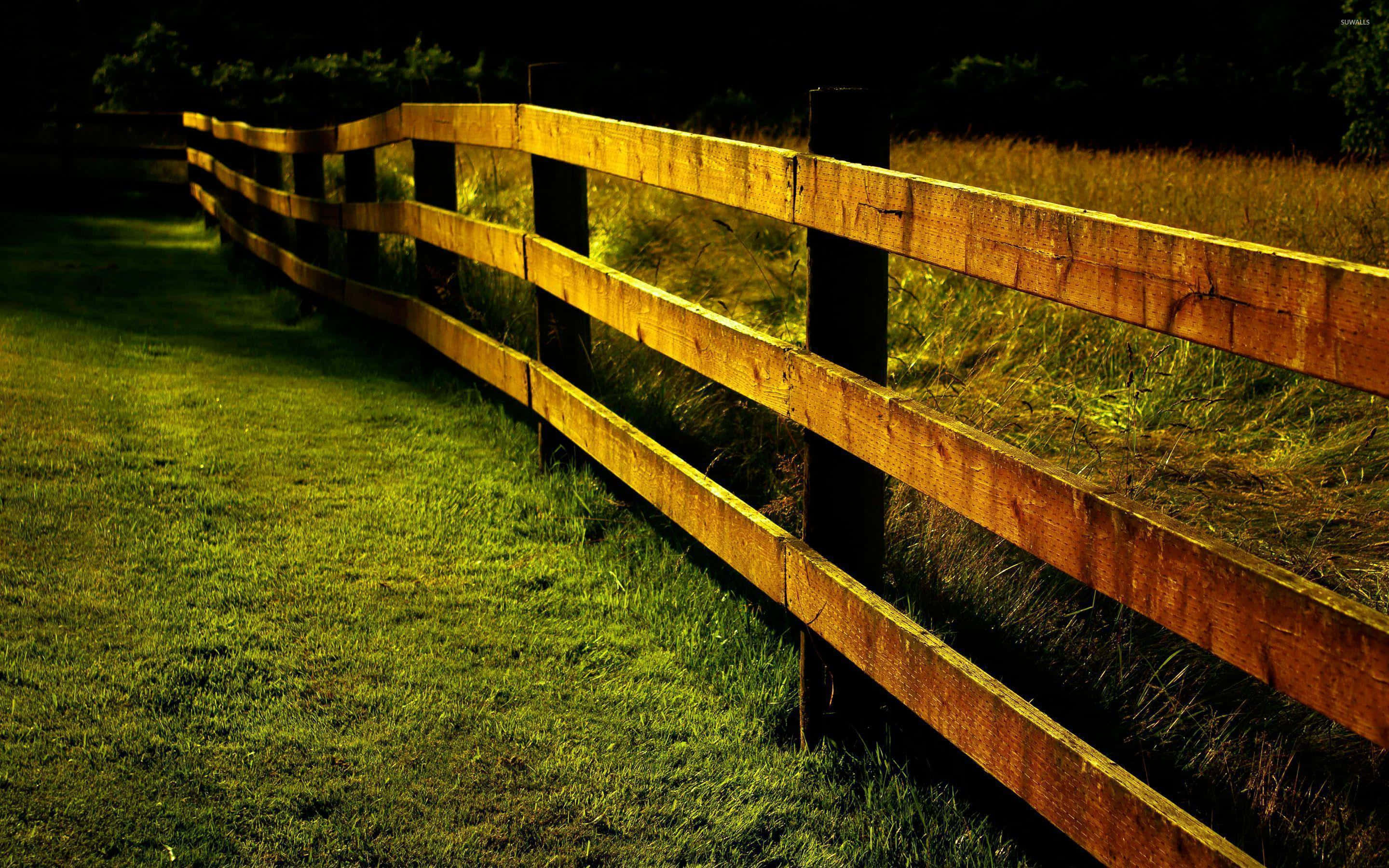 fence 桌布 壁紙 — 一道沐浴在金色光線中的木柵欄，在黃昏時分穿過草地延伸。