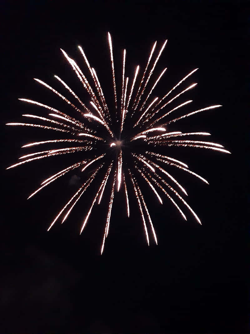 firework 桌布 壁紙 — 一道燦爛的白色煙火在漆黑的夜空中完美地放射狀綻放。