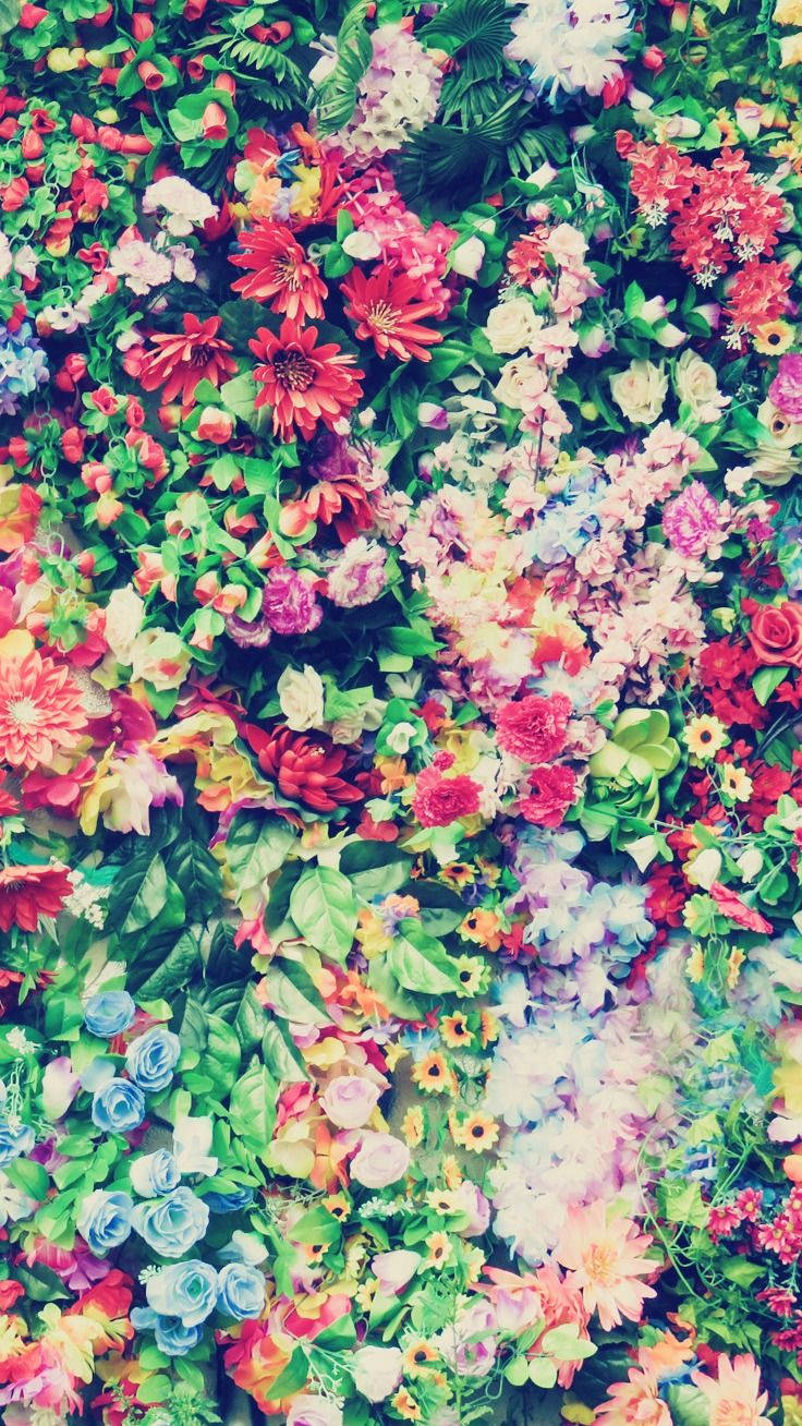 花卉 桌布 壁紙 — 一道由粉紅、藍、紅彩虹色調的鮮豔人造花和綠植組成的密集牆。
