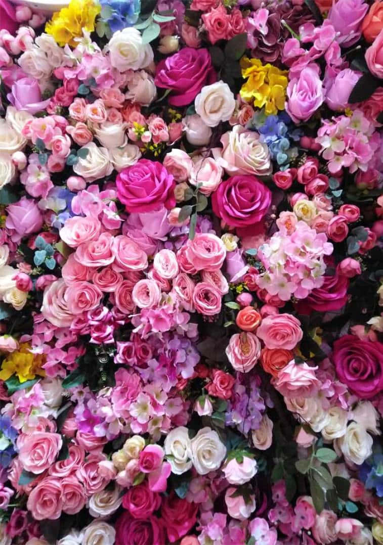 Pretty Flower 桌布 壁紙 — 一道由鮮豔的粉紅色、白色和黃色玫瑰與繡球花組成的密集花牆，搭配茂密的綠色植物，營造出繁花似錦的爆炸效果。