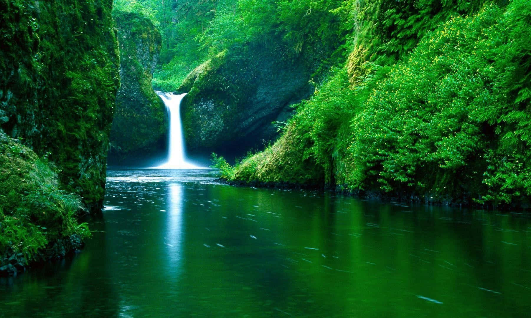 Cool Nature 桌布 壁紙 — 一道發光的瀑布傾瀉而下，流入一個如鏡般平靜的翡翠綠水池，四周環繞著茂密的苔蘚懸崖。