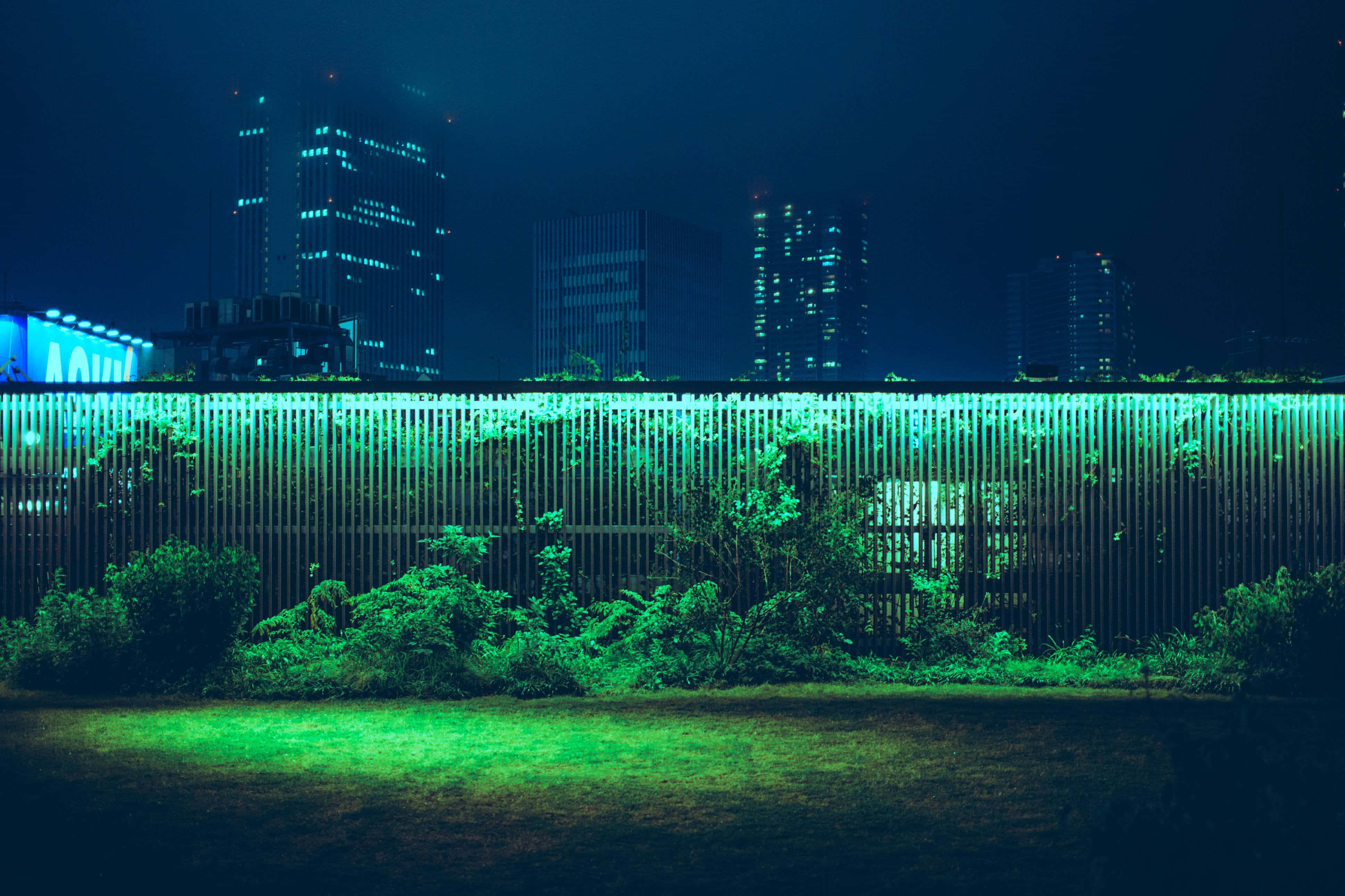 Contrast 桌布 壁紙 — 一道發光的綠色圍欄照亮了茂密的灌木叢，背景是夜晚黑暗的城市天際線。