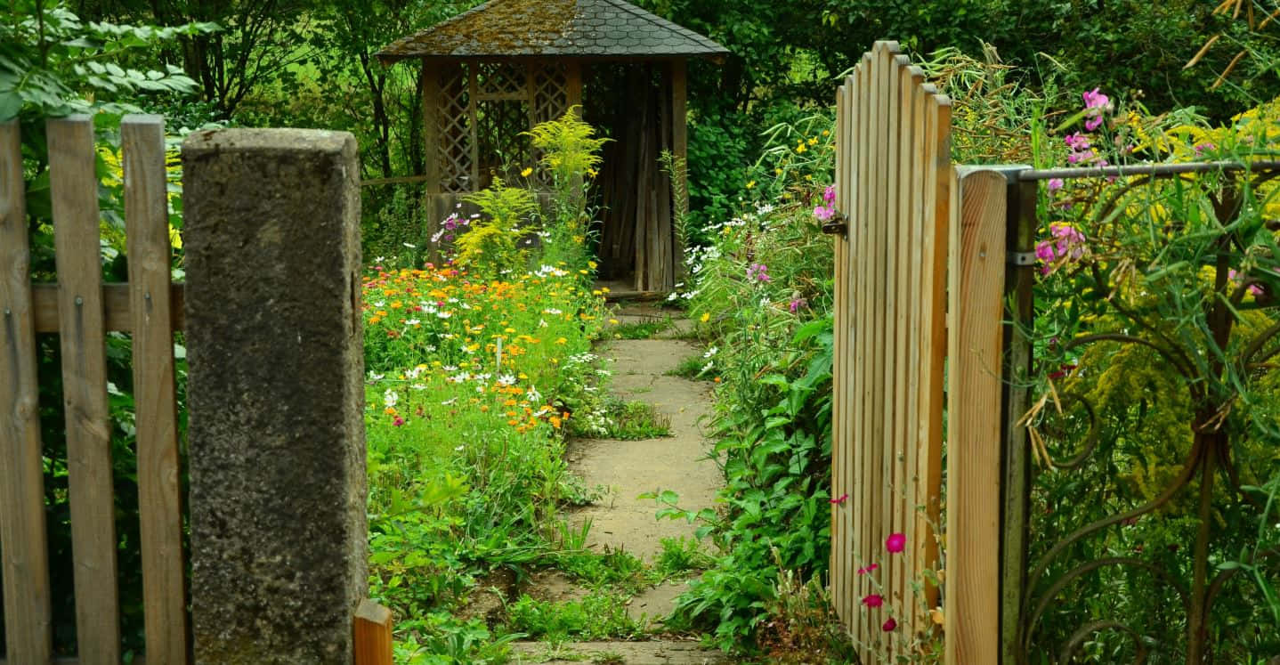Cottage Garden 桌布 壁紙 — 一道石門打開，通往一條野花園小徑，通向一個坐落在茂密綠植中的木製涼亭。