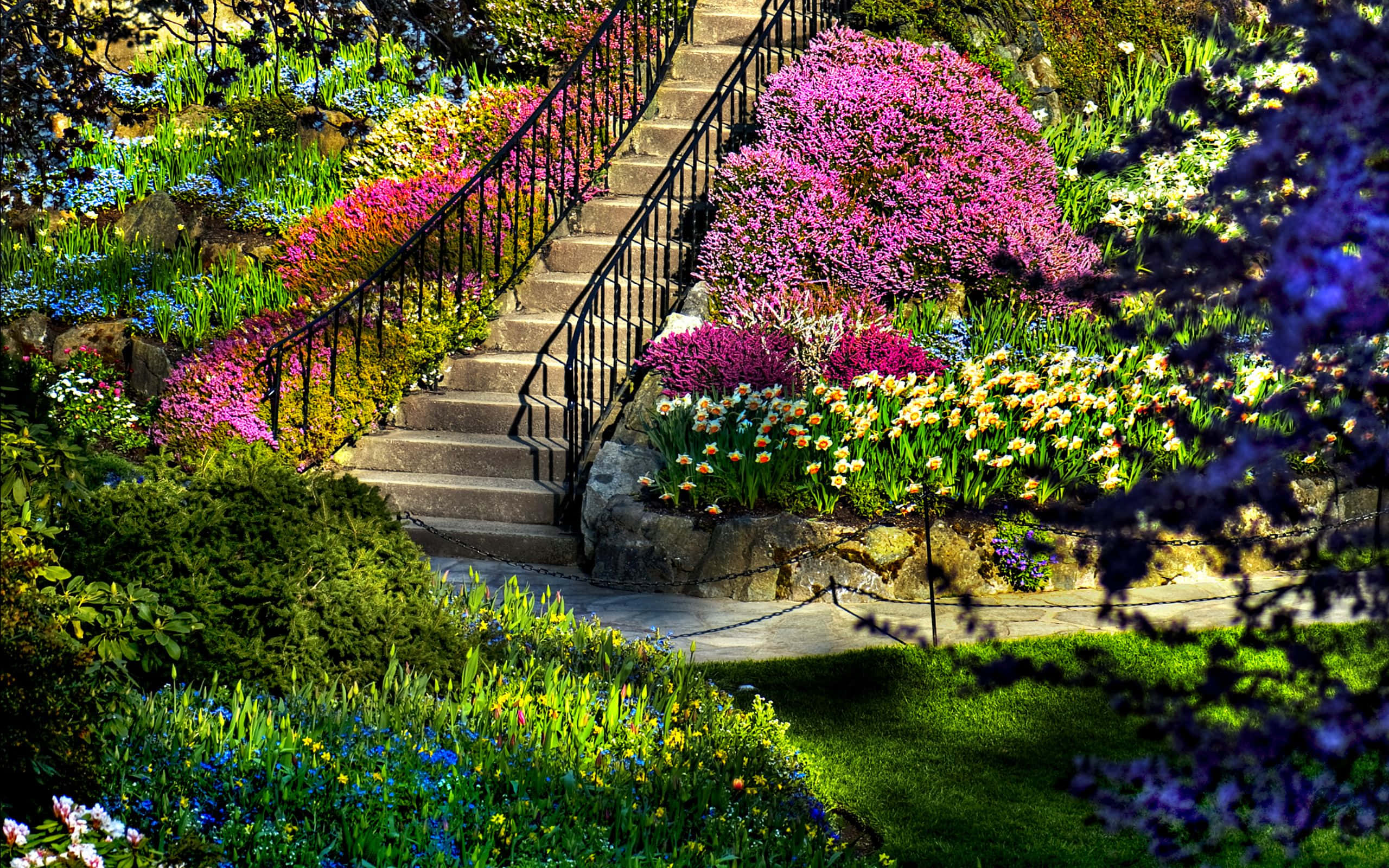 Garden Photography 桌布 壁紙 — 一道石階蜿蜒穿過一個充滿活力的花園，在明亮的陽光下，花園裡開滿了色彩繽紛的花朵和茂密的綠植。