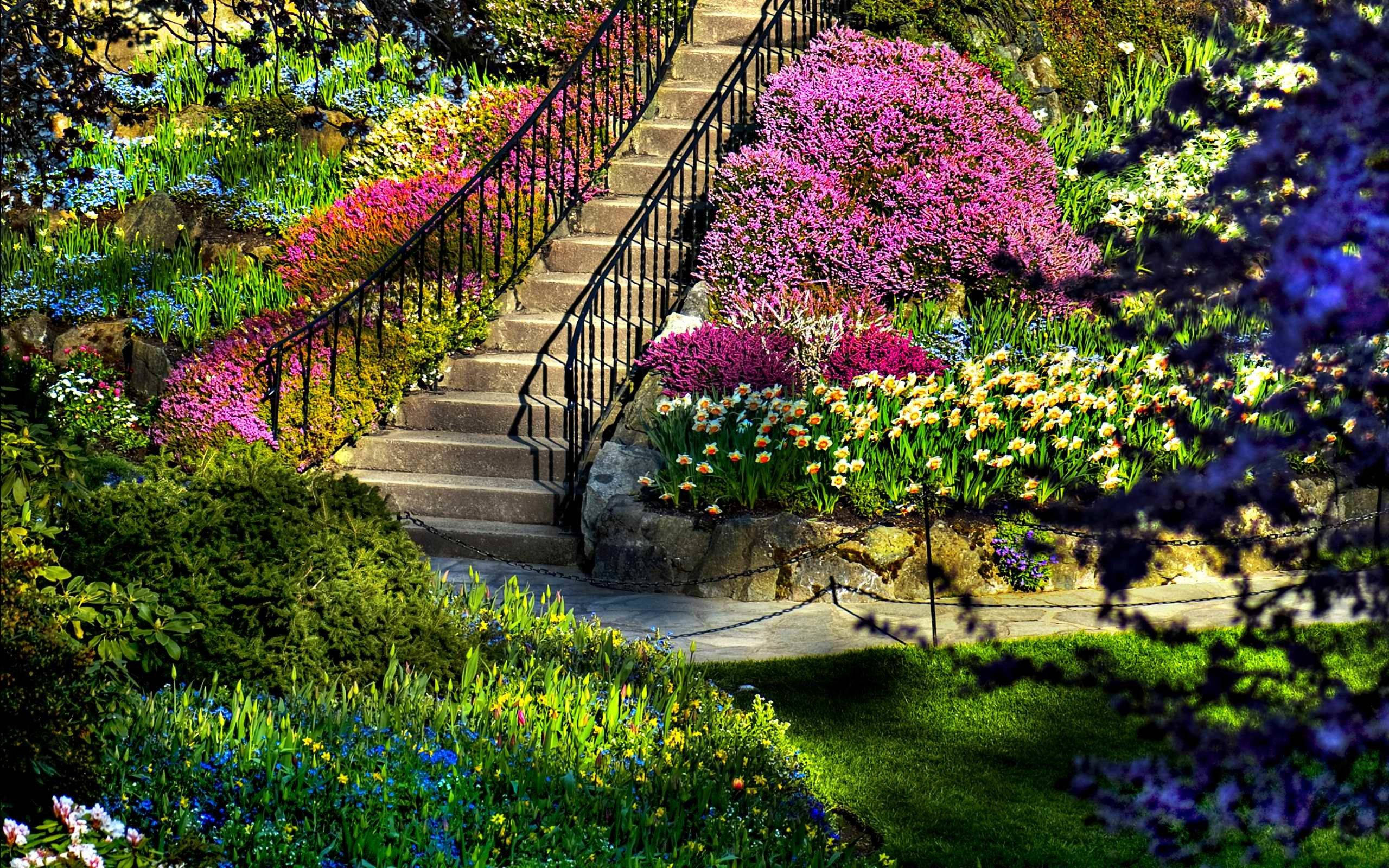 Most Beautiful Spring 桌布 壁紙 — 一道石階蜿蜒穿過一個充滿活力的花園，在明亮的陽光下綻放著色彩繽紛的花朵和茂密的綠植。