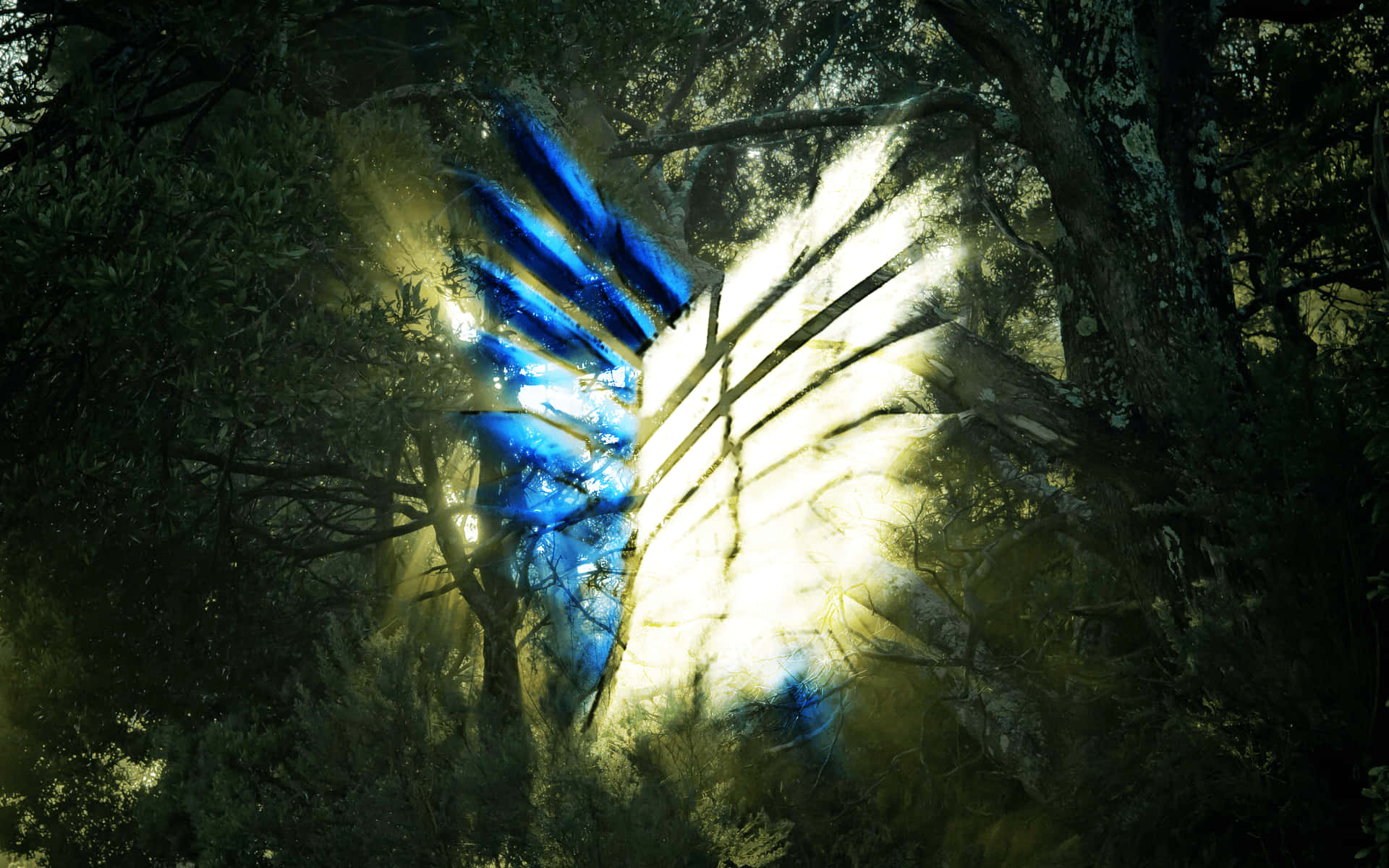 Aot Wings Of Freedom 桌布 壁紙 — 一道耀眼的藍白色翼形光線穿過茂密的森林樹木，投射出空靈的光束。