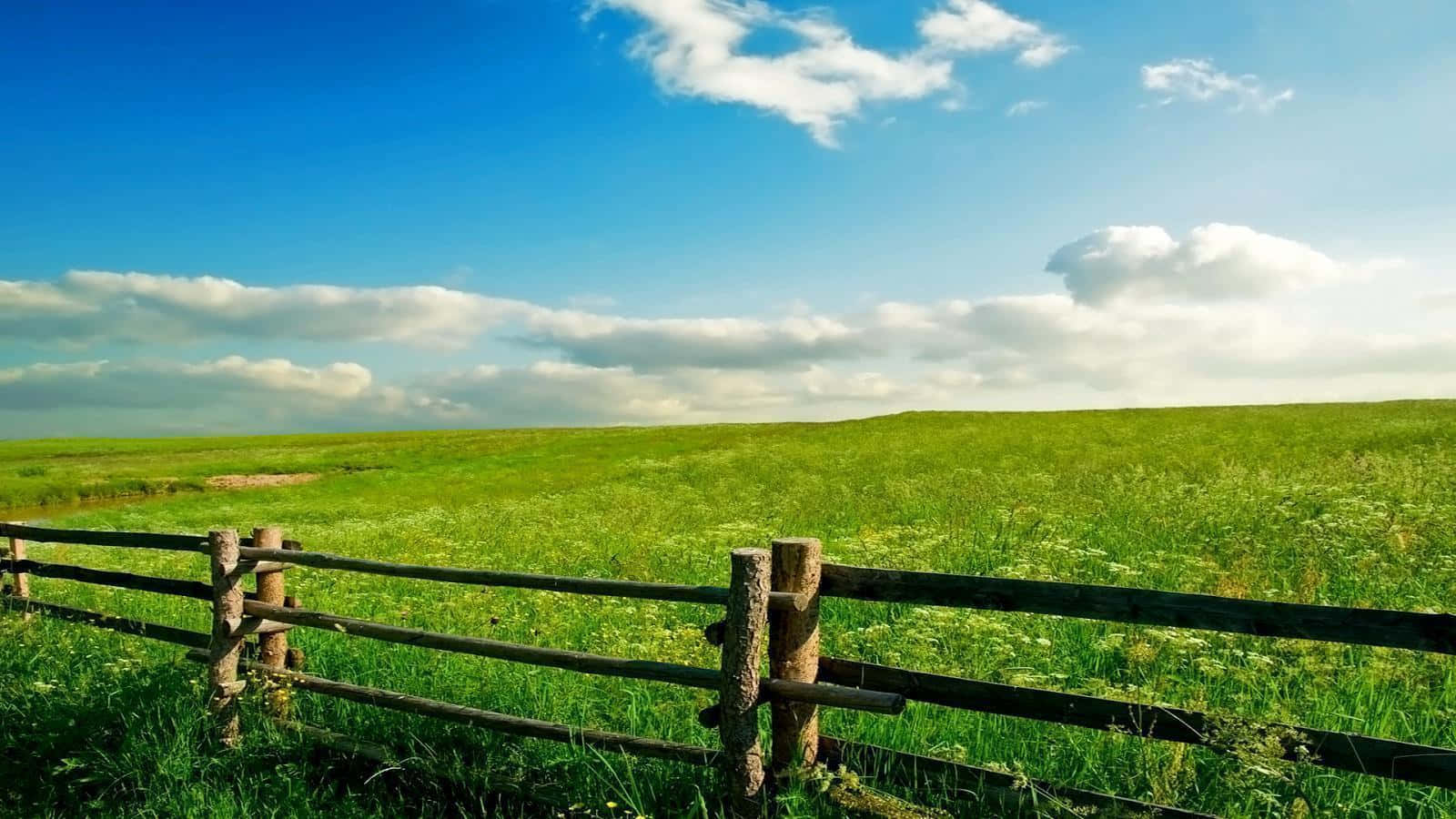 Meadow 桌布 壁紙 — 一道質樸的木柵欄，環繞著一片廣闊的陽光普照的綠色田野，上方是明亮的藍天和蓬鬆的白雲。