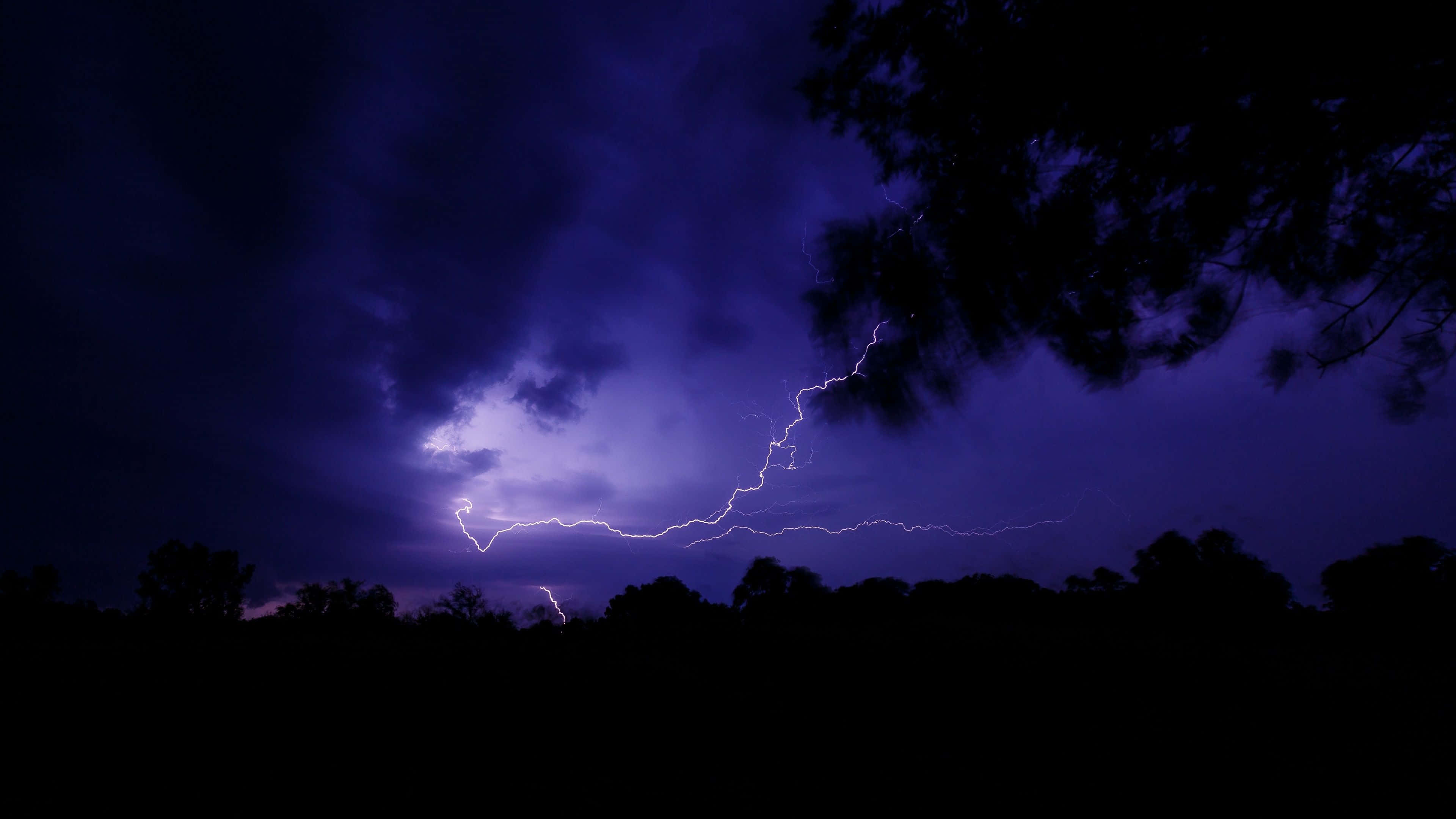 Dark Clouds 桌布 壁紙 — 一道鋸齒狀閃電照亮了夜晚深紫色暴風雨天空下的黑暗樹線。