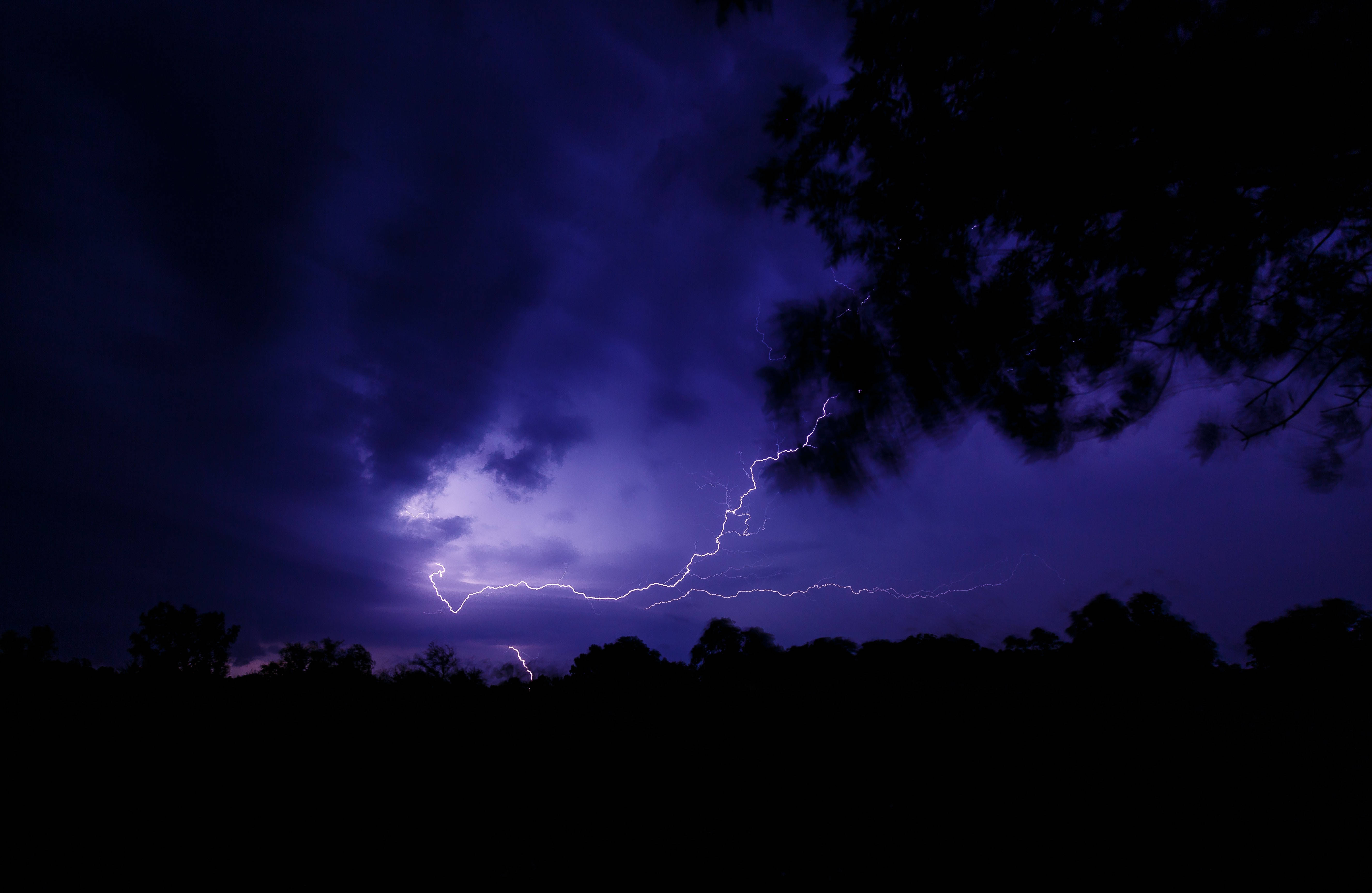 閃電 桌布 壁紙 — 一道鋸齒狀閃電照亮了夜間深紫色暴風雨天空下的黑暗樹線。