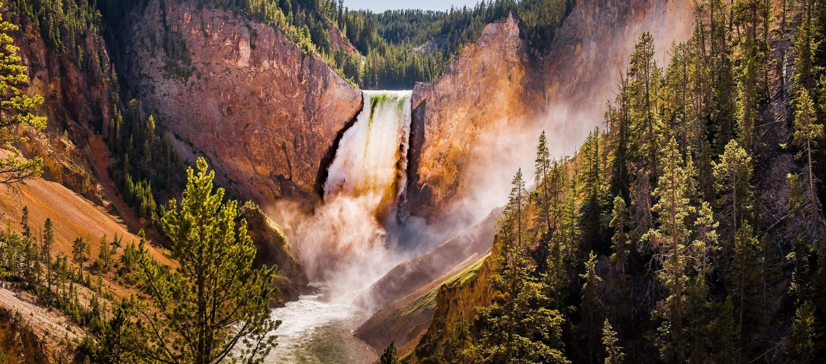 Yellowstone 桌布 壁紙 — 一道雄偉的瀑布在明亮的日光下，流經兩旁長滿茂密松林的崎嶇峽谷。