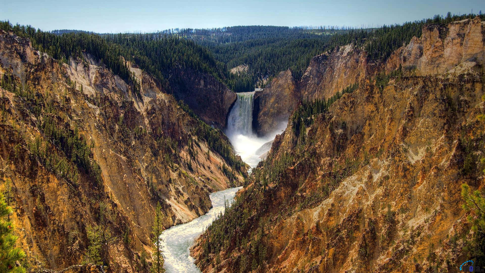Yellowstone 桌布 壁紙 — 一道雄偉的瀑布從崎嶇的峽谷中傾瀉而下，兩旁是陡峭的懸崖和茂密的常綠森林，在清澈的藍天下。