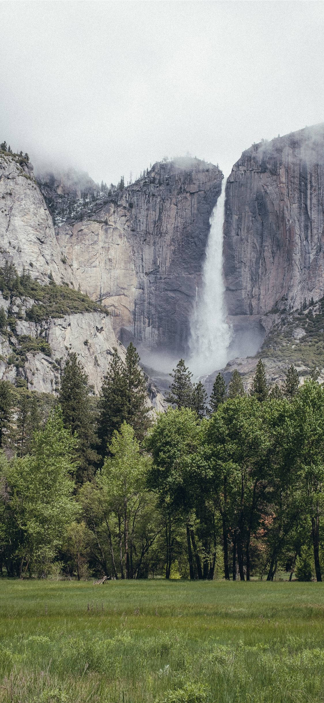 Yosemite iPhone 桌布 壁紙 — 一道雄偉的瀑布從霧氣瀰漫的花崗岩懸崖傾瀉而下，流入一片由高大松樹環繞的翠綠草地。