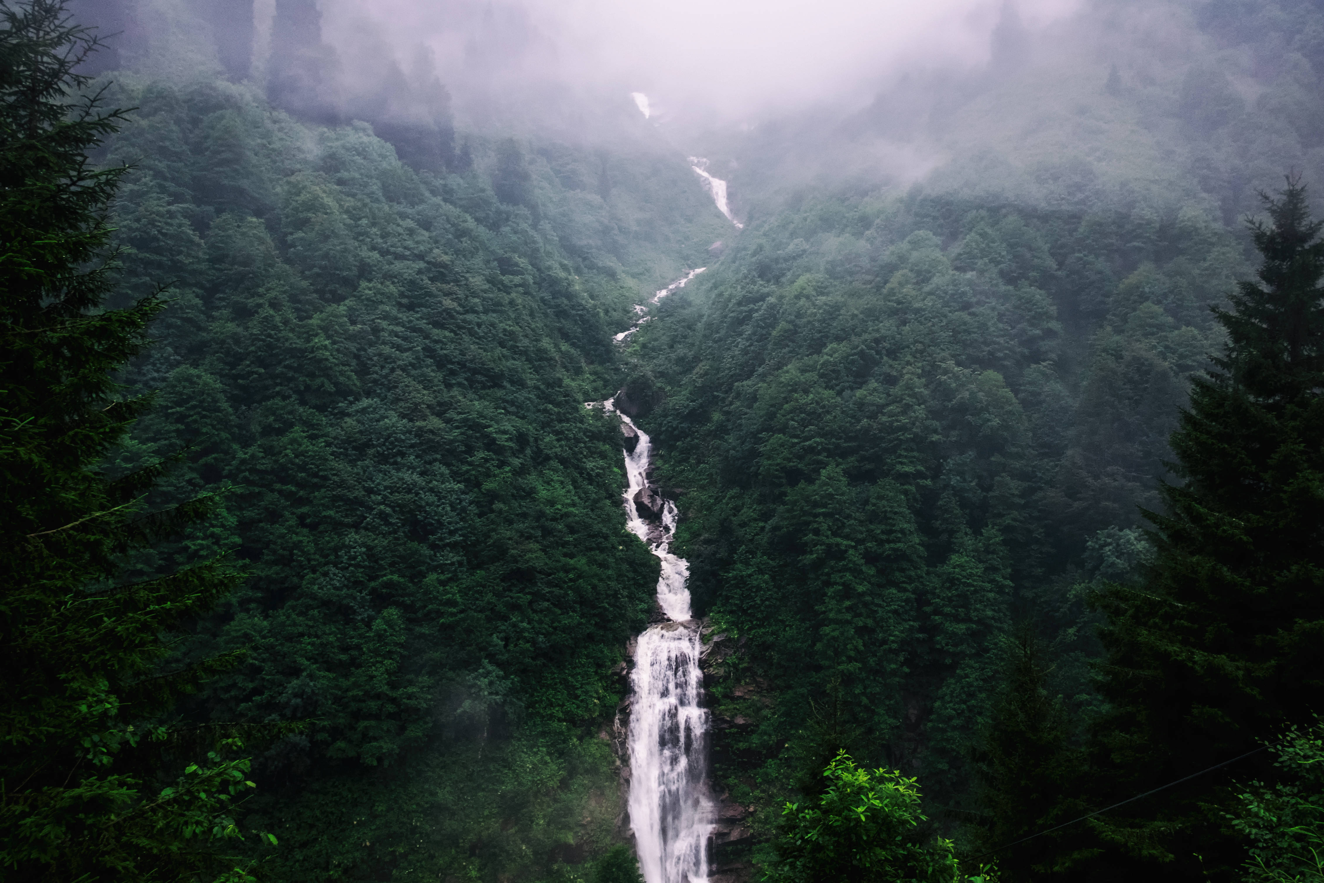 瀑布 桌布 壁紙 — 一道霧氣瀰漫的瀑布從鬱鬱蔥蔥的綠色森林山谷中傾瀉而下，兩旁是高聳的常青樹。