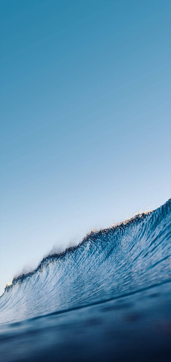 一道巨大的海浪在清澈的藍天下翻捲，陽光在其頂峰。