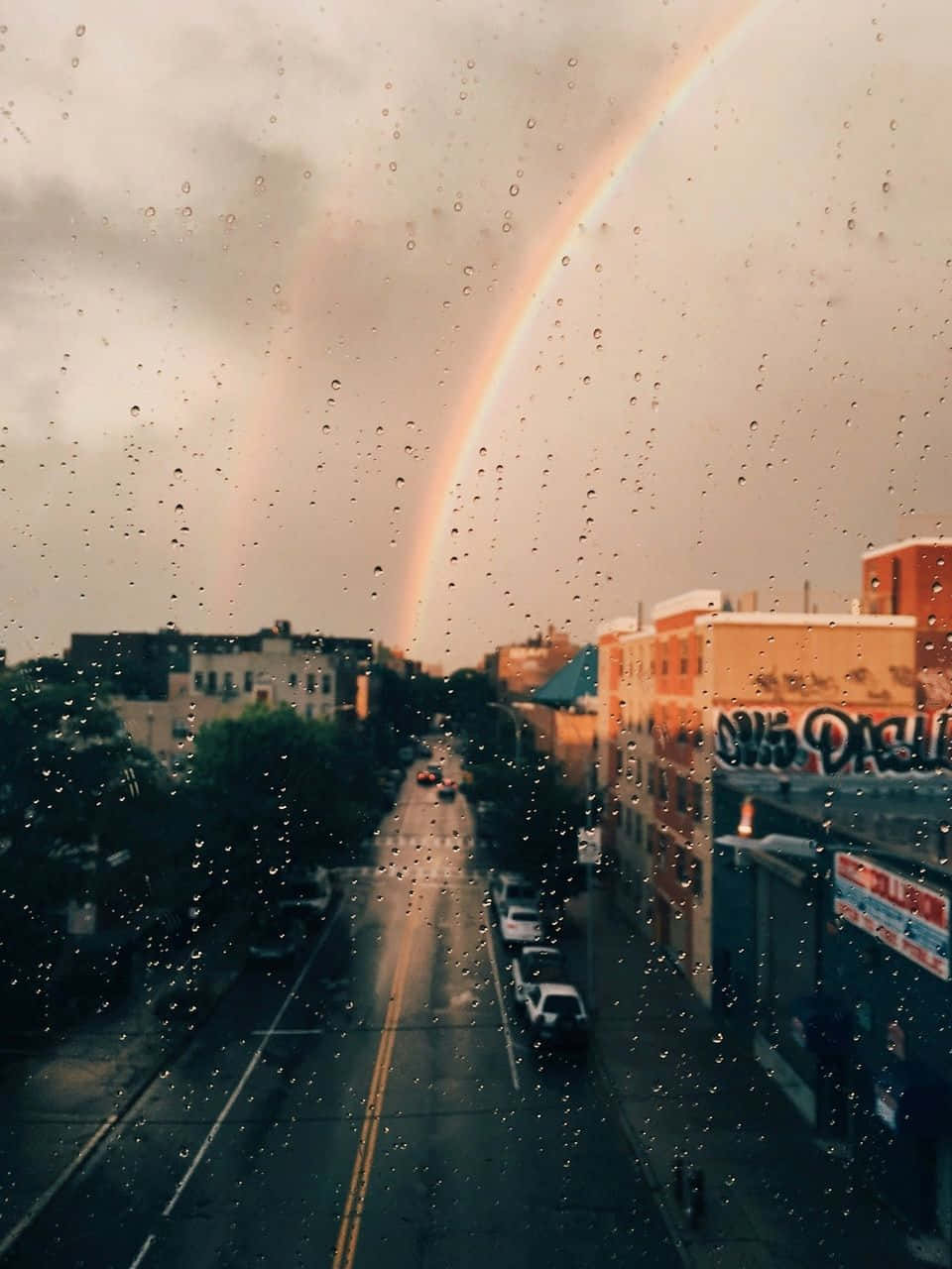彩虹美學 桌布 壁紙 — 一道鮮豔的彩虹橫跨在雨濕的城市街道上，透過佈滿水滴的窗戶觀看。