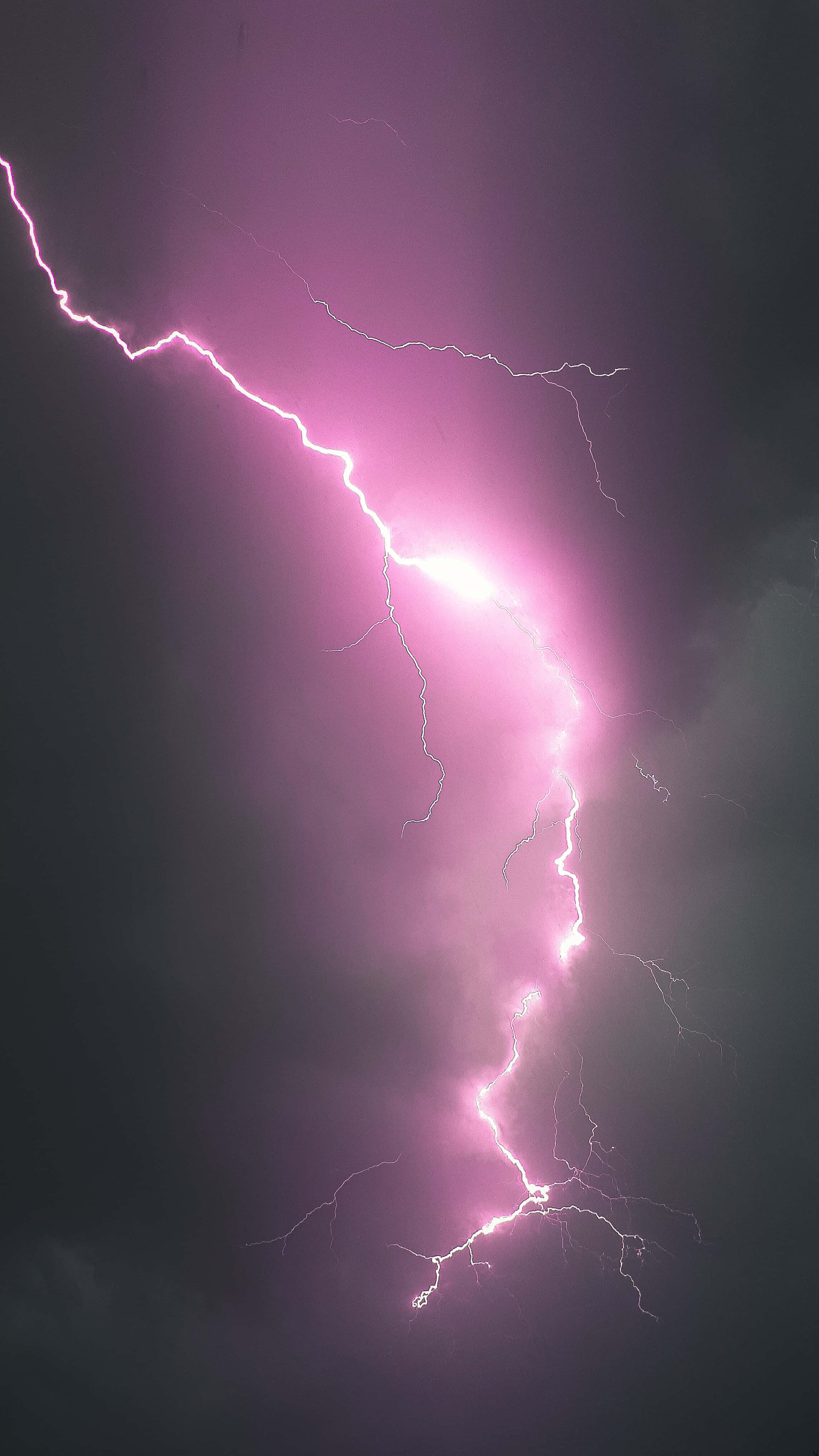 Lightning Bolt iPhone 桌布 壁紙 — 一道鮮豔的粉紅色閃電在黑暗的暴風雨天空中分叉，形成戲劇性的自然景象。
