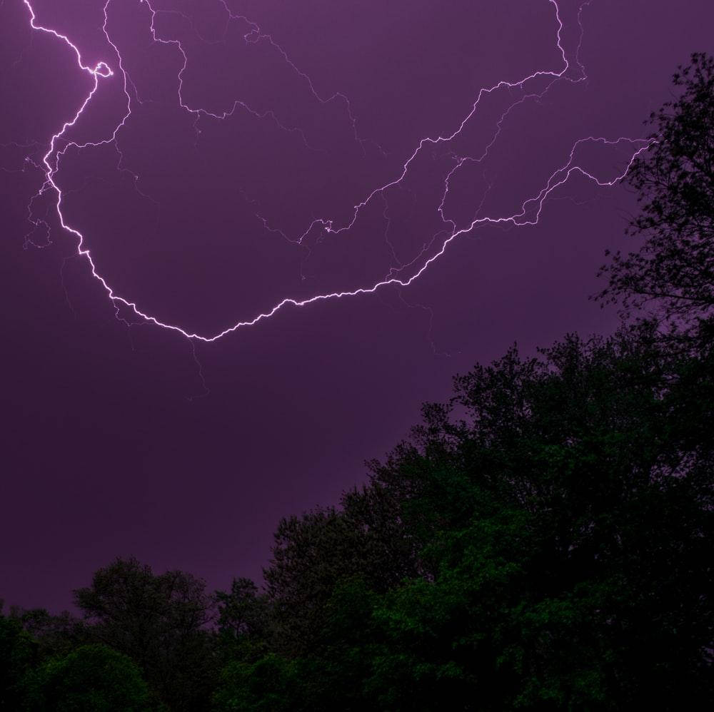 黑色與紫色 桌布 壁紙 — 一道鮮豔的紫色閃電在暴風雨的夜空中，於黑暗樹梢剪影上方分叉。